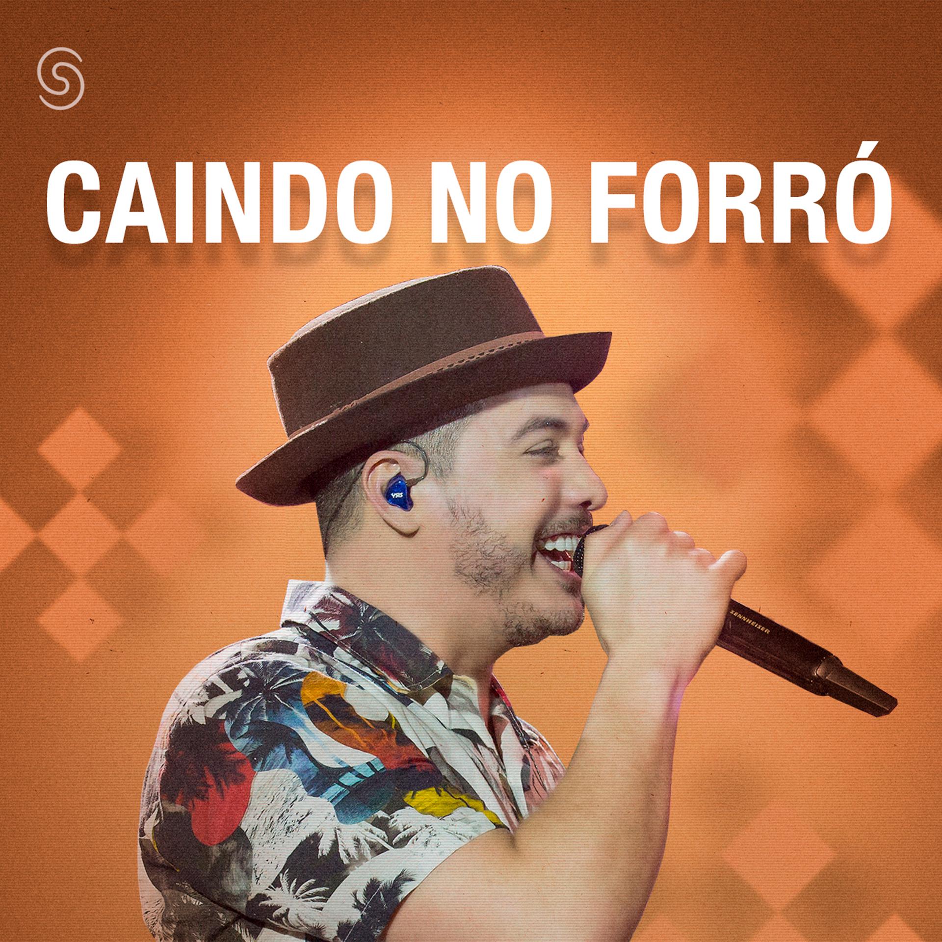 Постер альбома Caindo No Forró - 2017 (Ao Vivo)