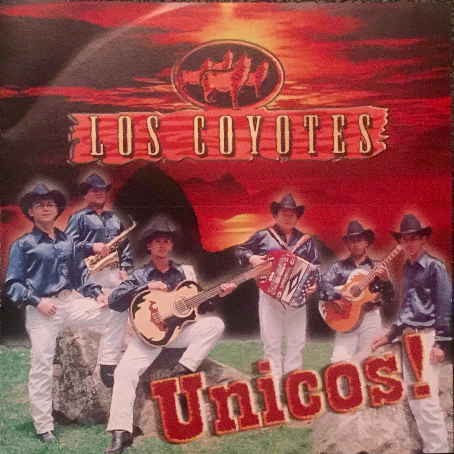 Постер альбома Unicos