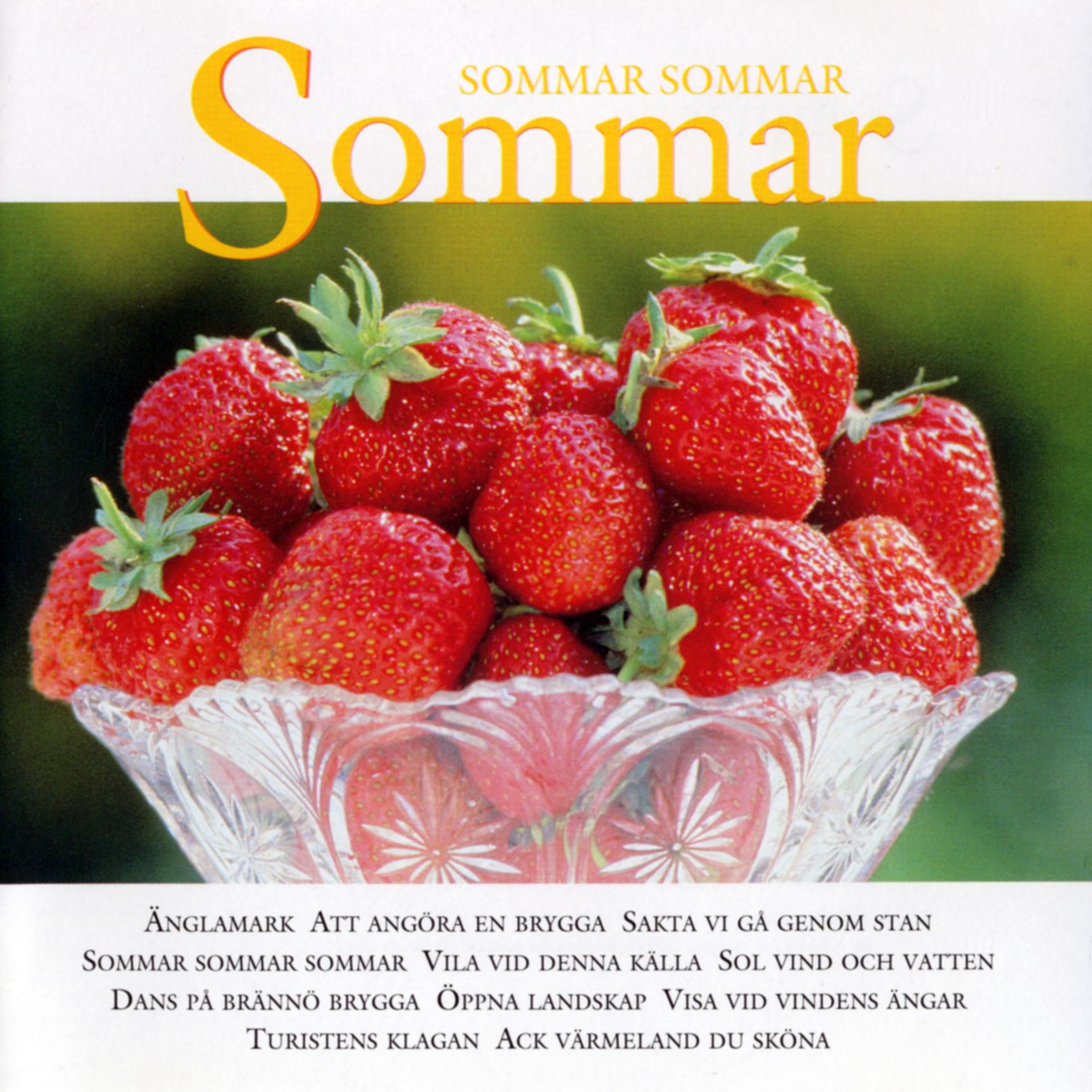 Постер альбома Sommar, sommar, sommar