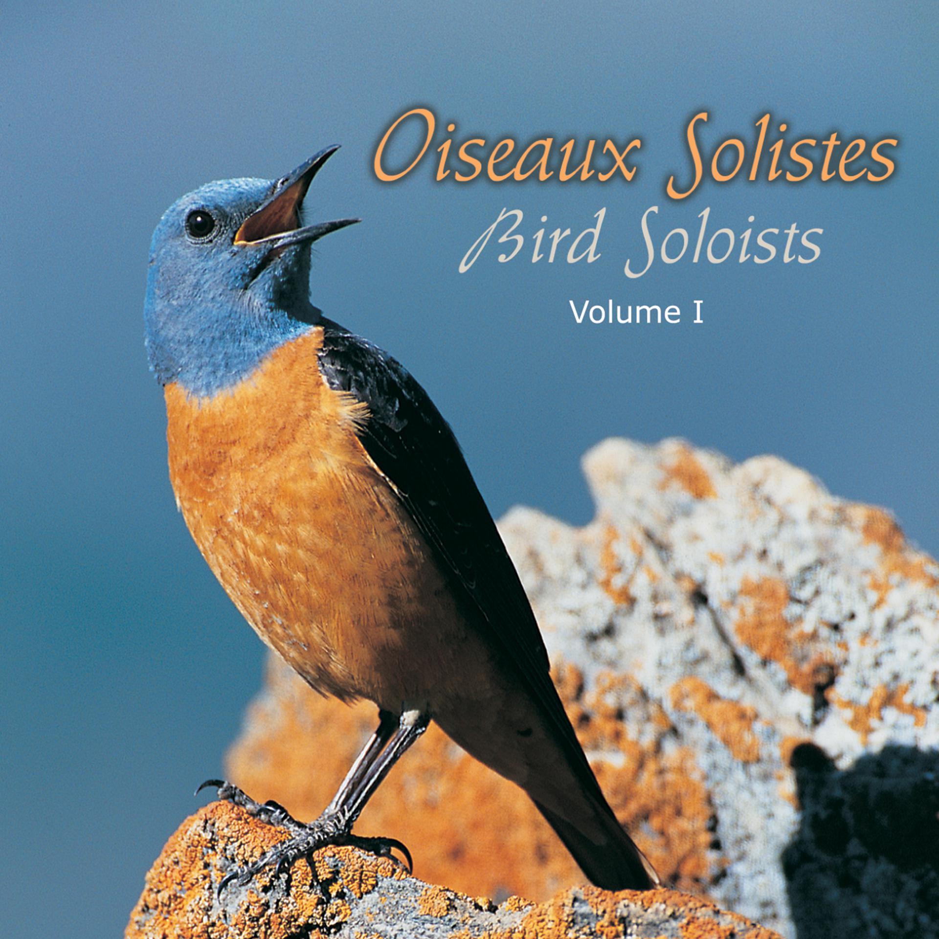 Постер альбома Oiseaux solistes, vol. 1