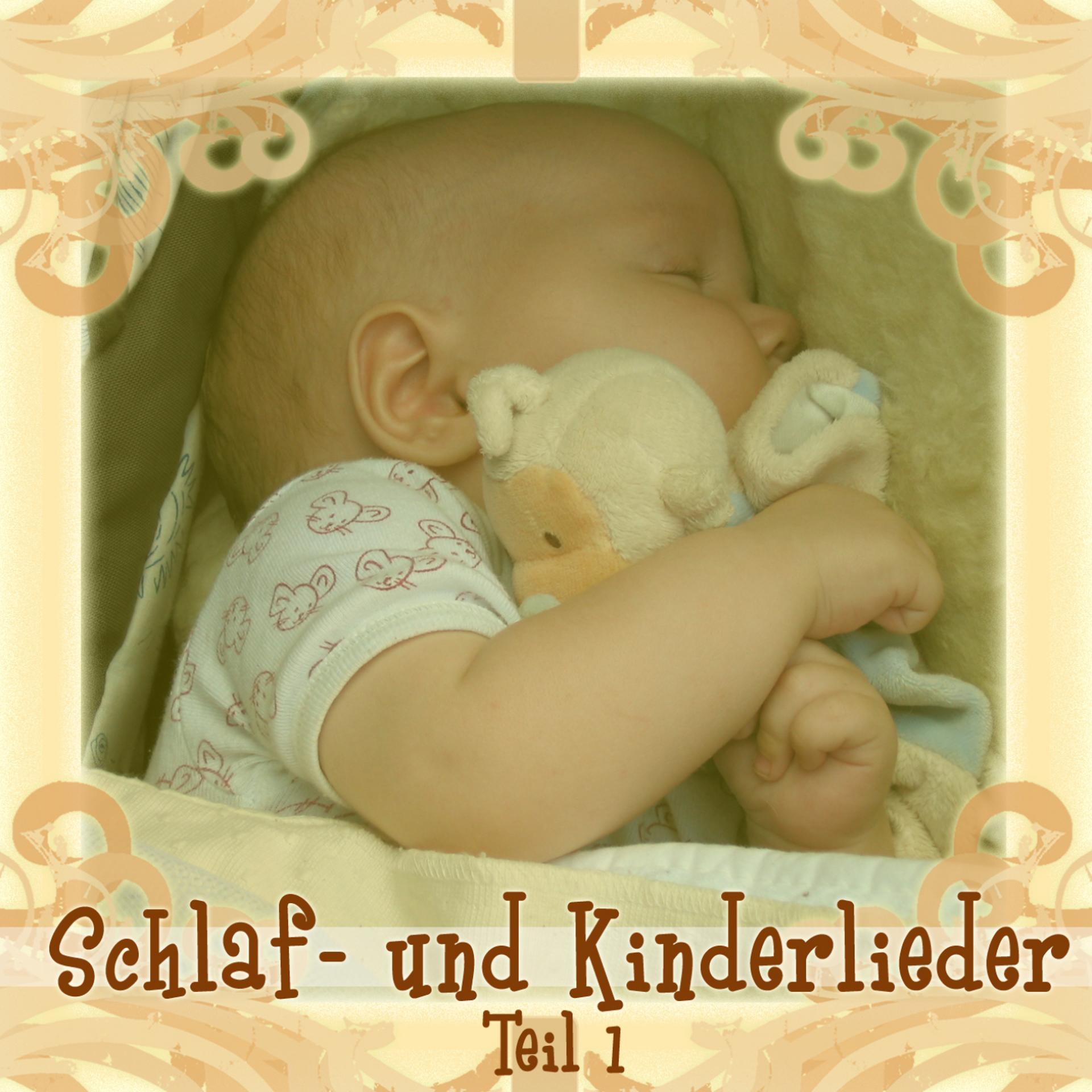 Постер альбома Schlaf- und Kinderlieder