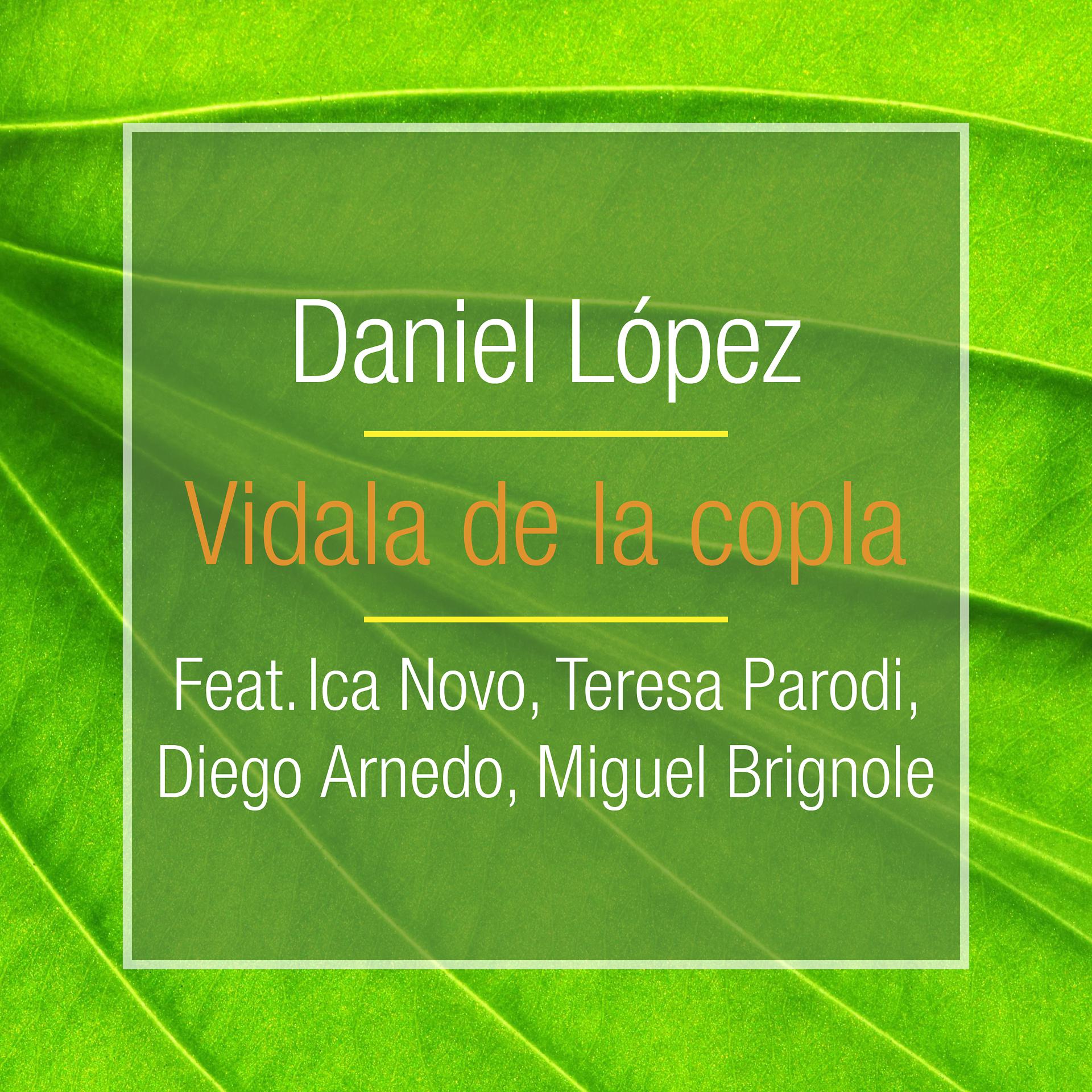 Постер альбома Vidala de la Copla