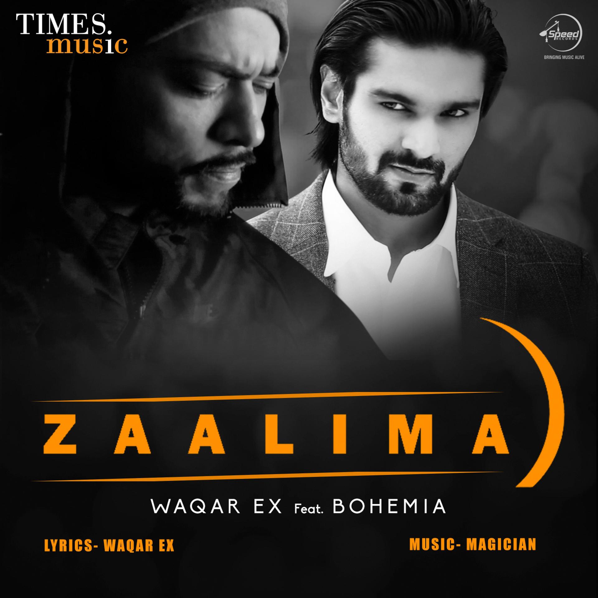 Постер альбома Zaalima - Single