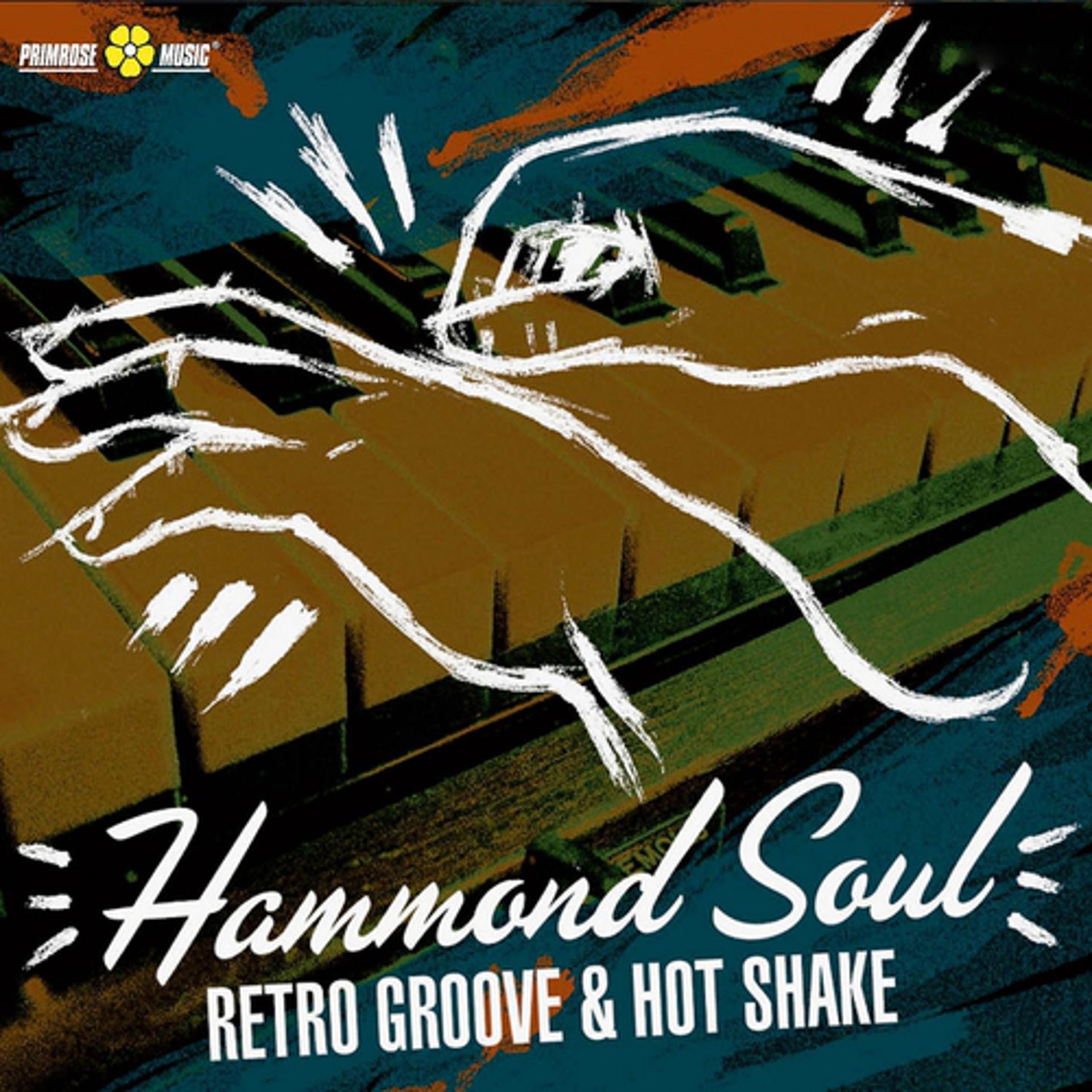 Постер альбома Hammond Soul