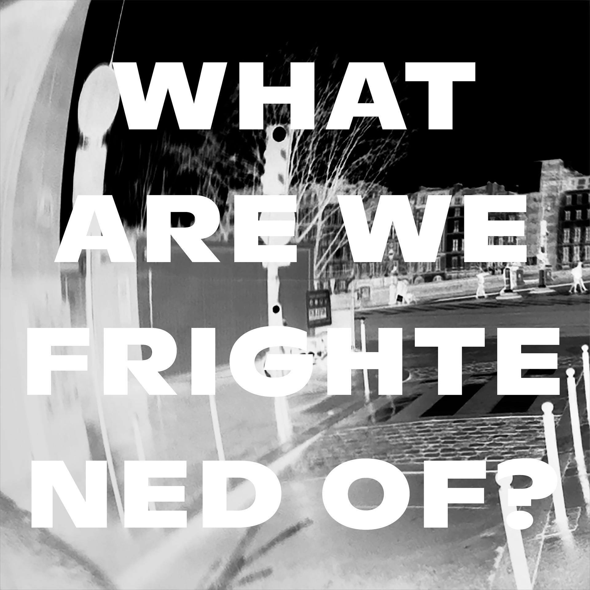 Постер альбома What Are We Frightened Of?