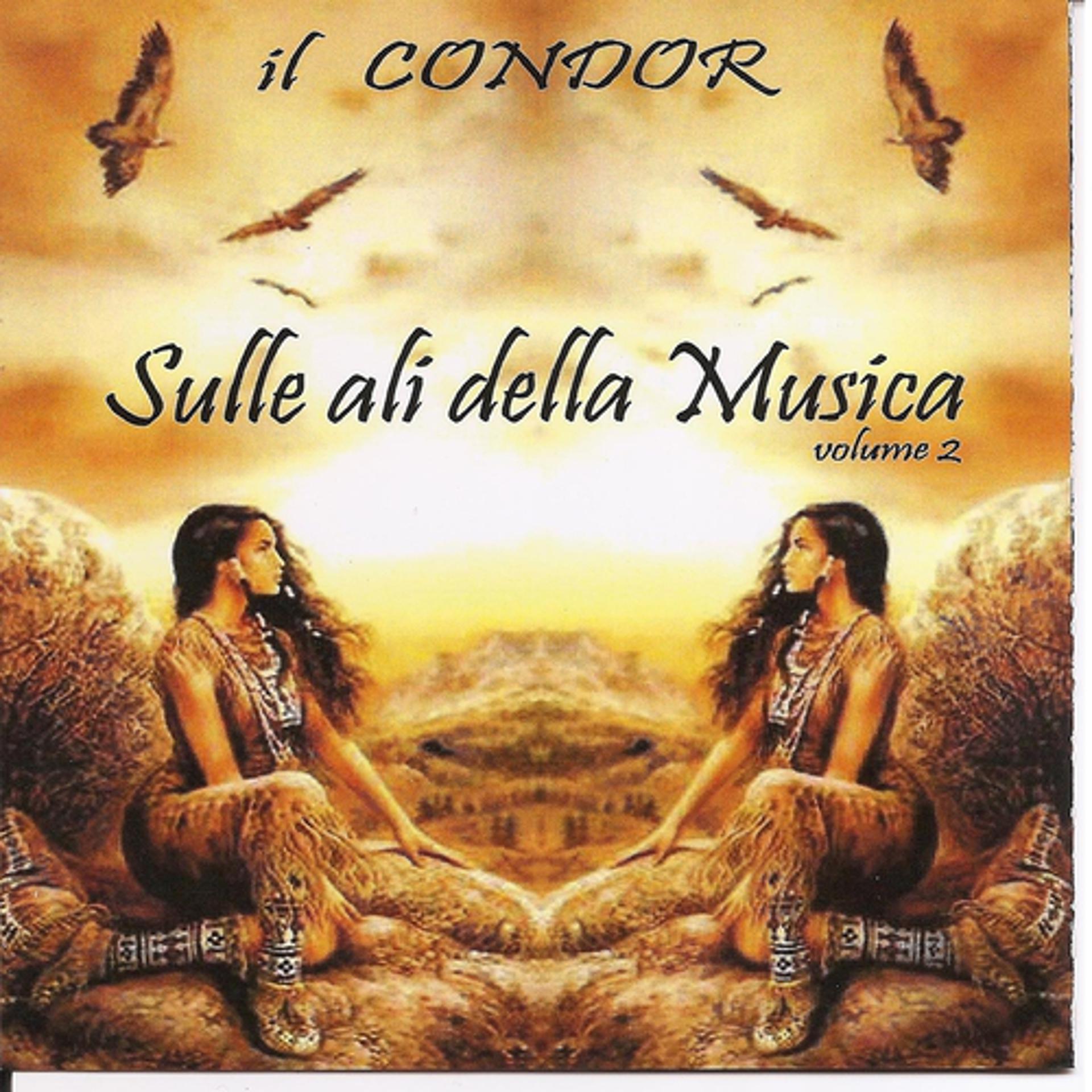 Постер альбома Sulle Ali Della Musica Vol 2