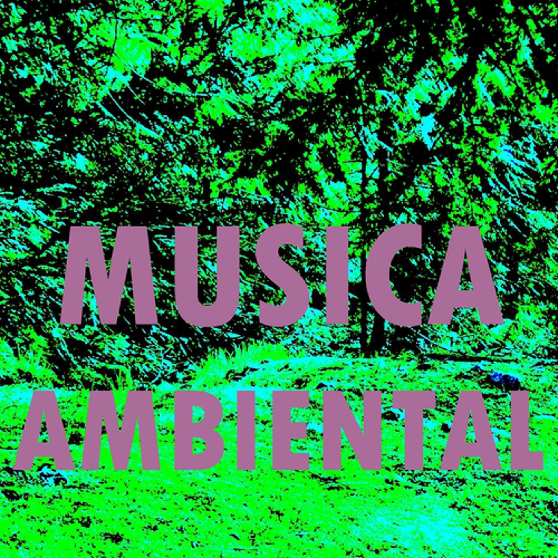 Постер альбома Musica Ambiental