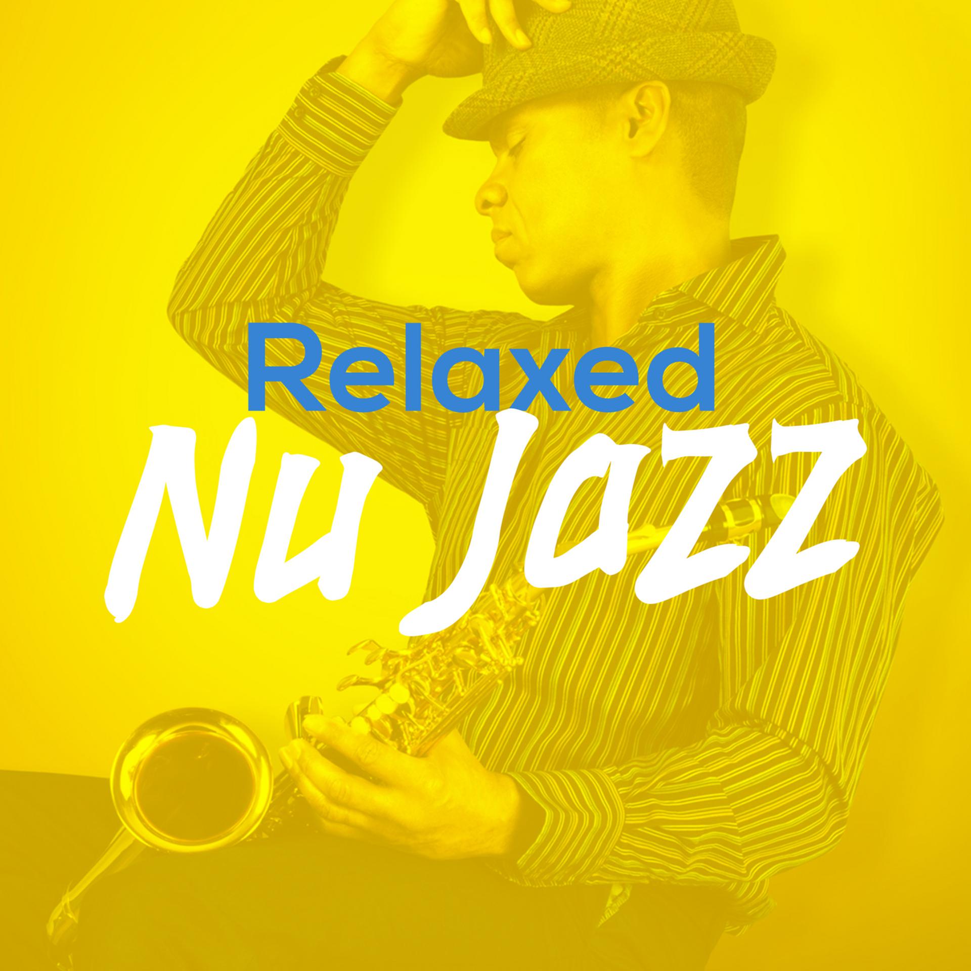 Постер альбома Relaxed Nu Jazz