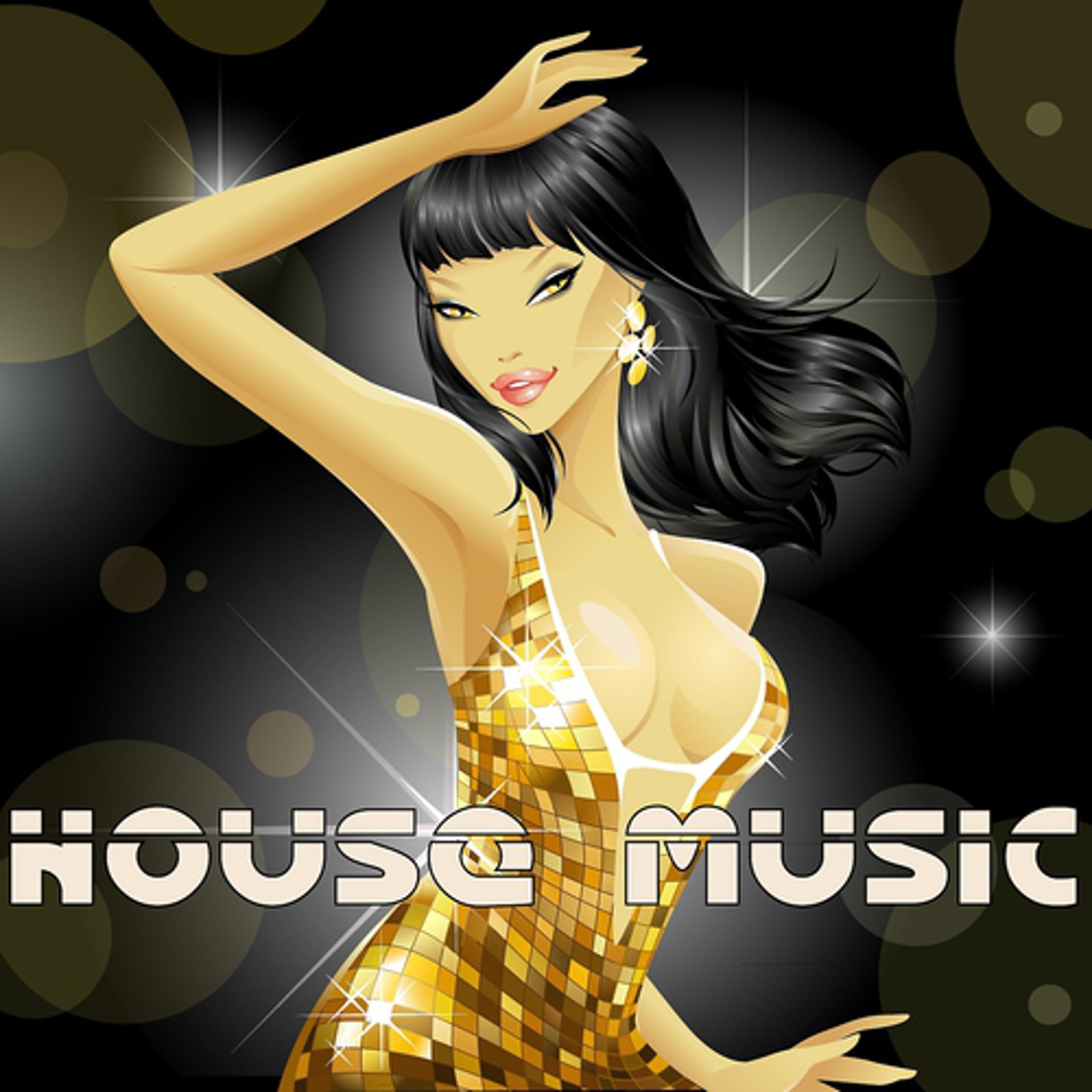 Постер альбома House Music, Vol. 4