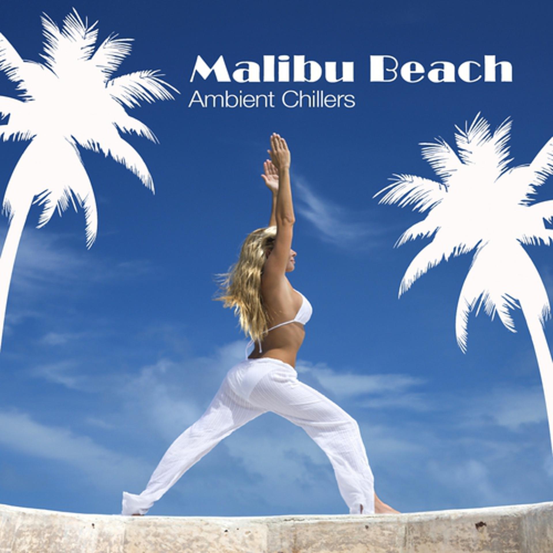 Постер альбома Malibu Beach Ambient Chillers