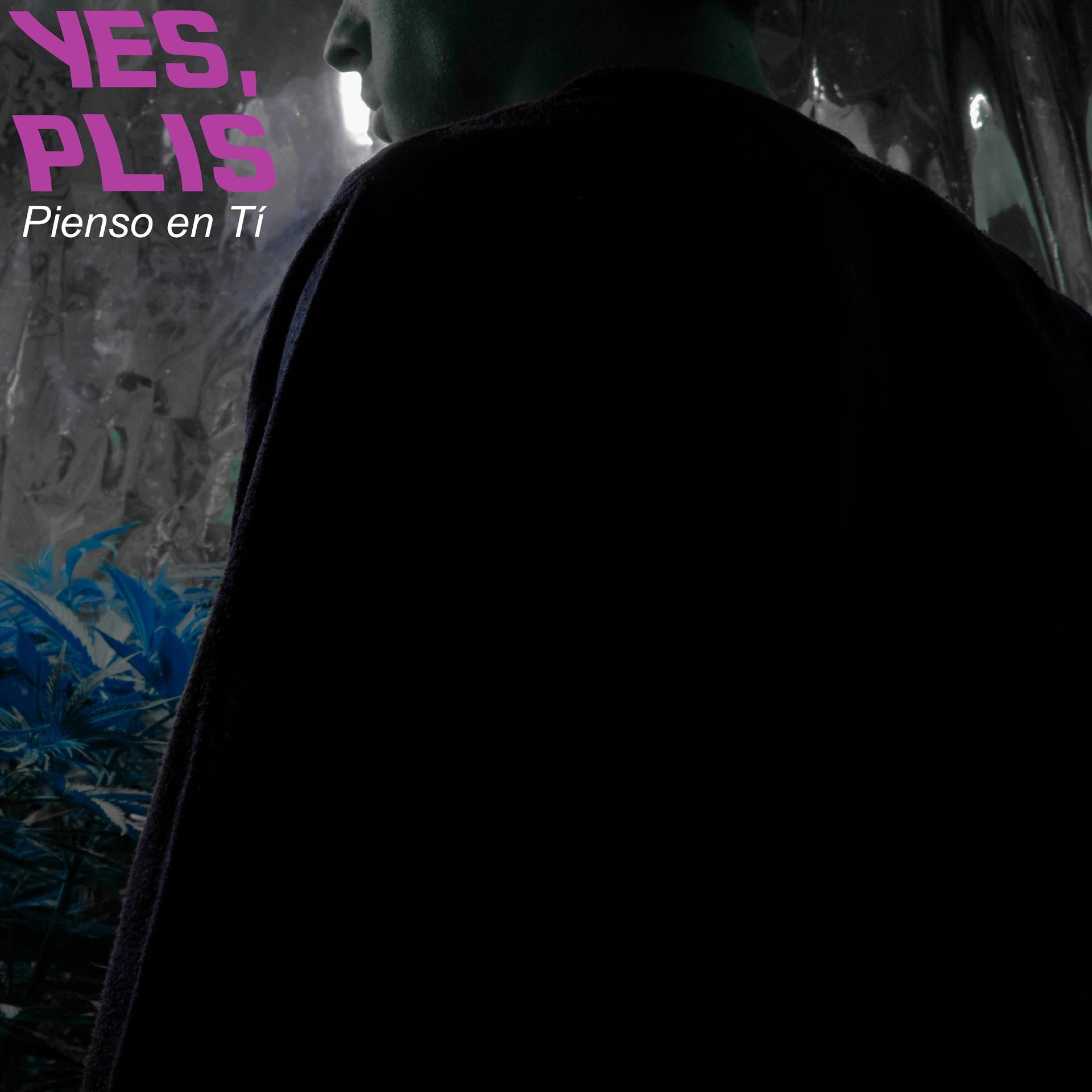 Постер альбома Pienso En Ti (feat. Plis)