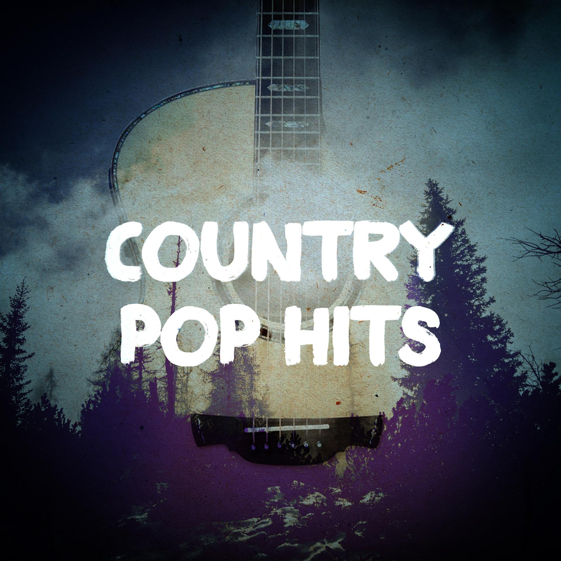 Постер альбома Country Pop Hits