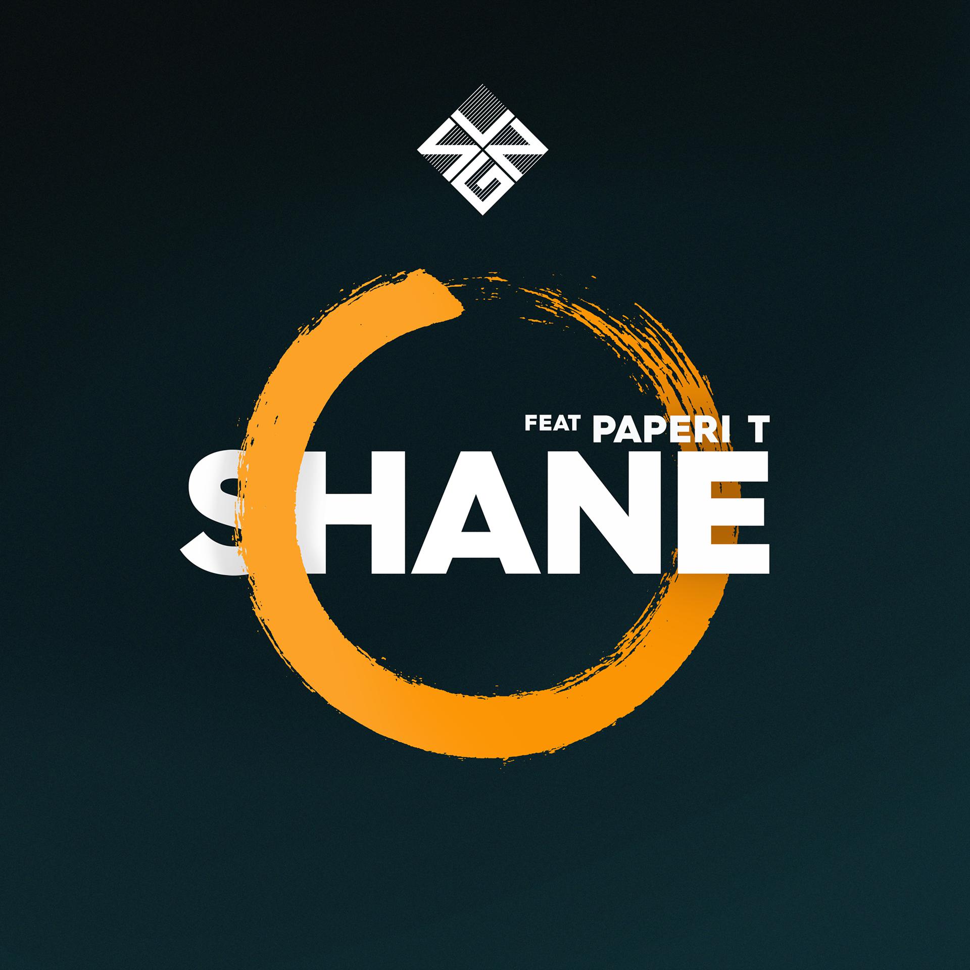 Постер альбома Shane (feat. Paperi T)