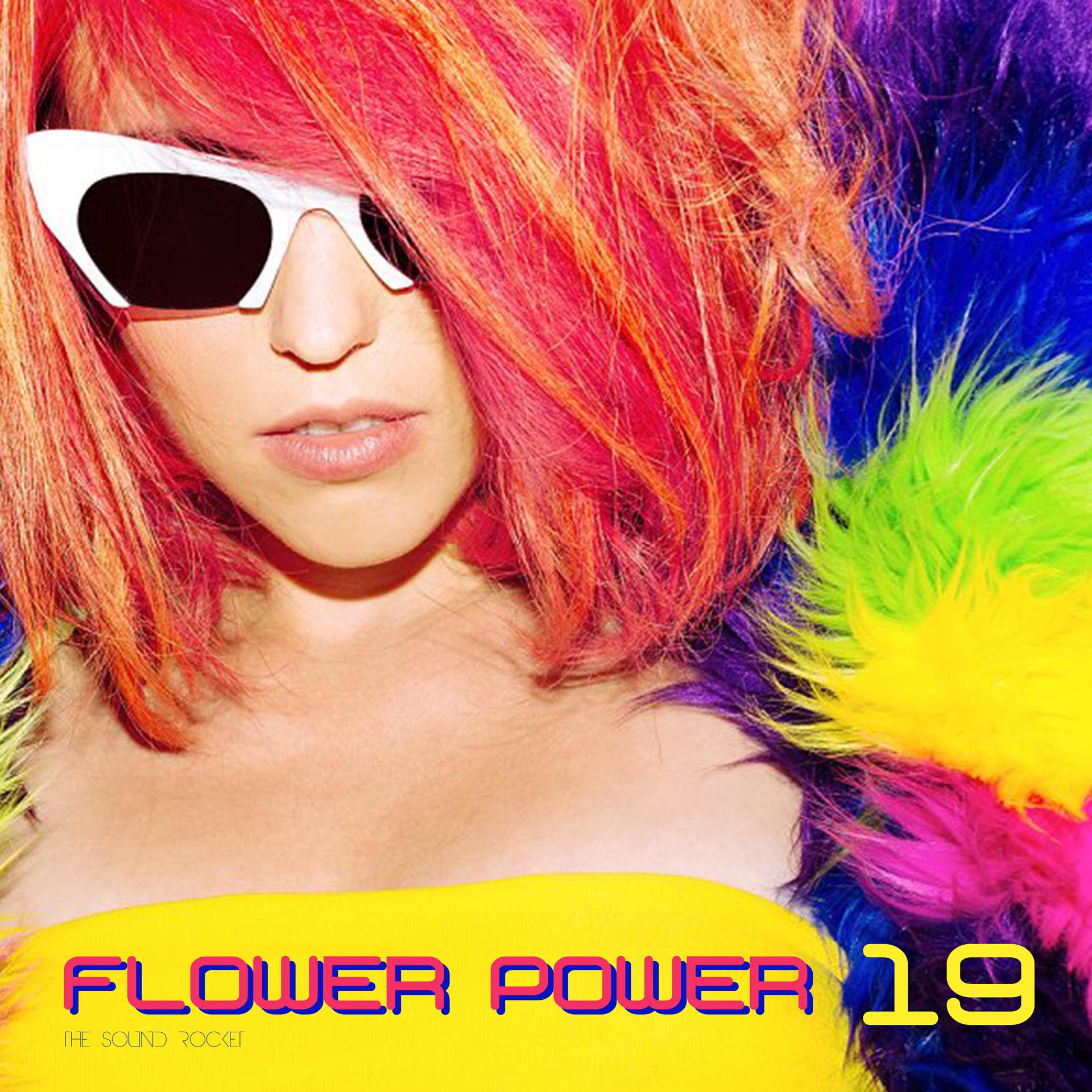 Постер альбома Flower Power 19