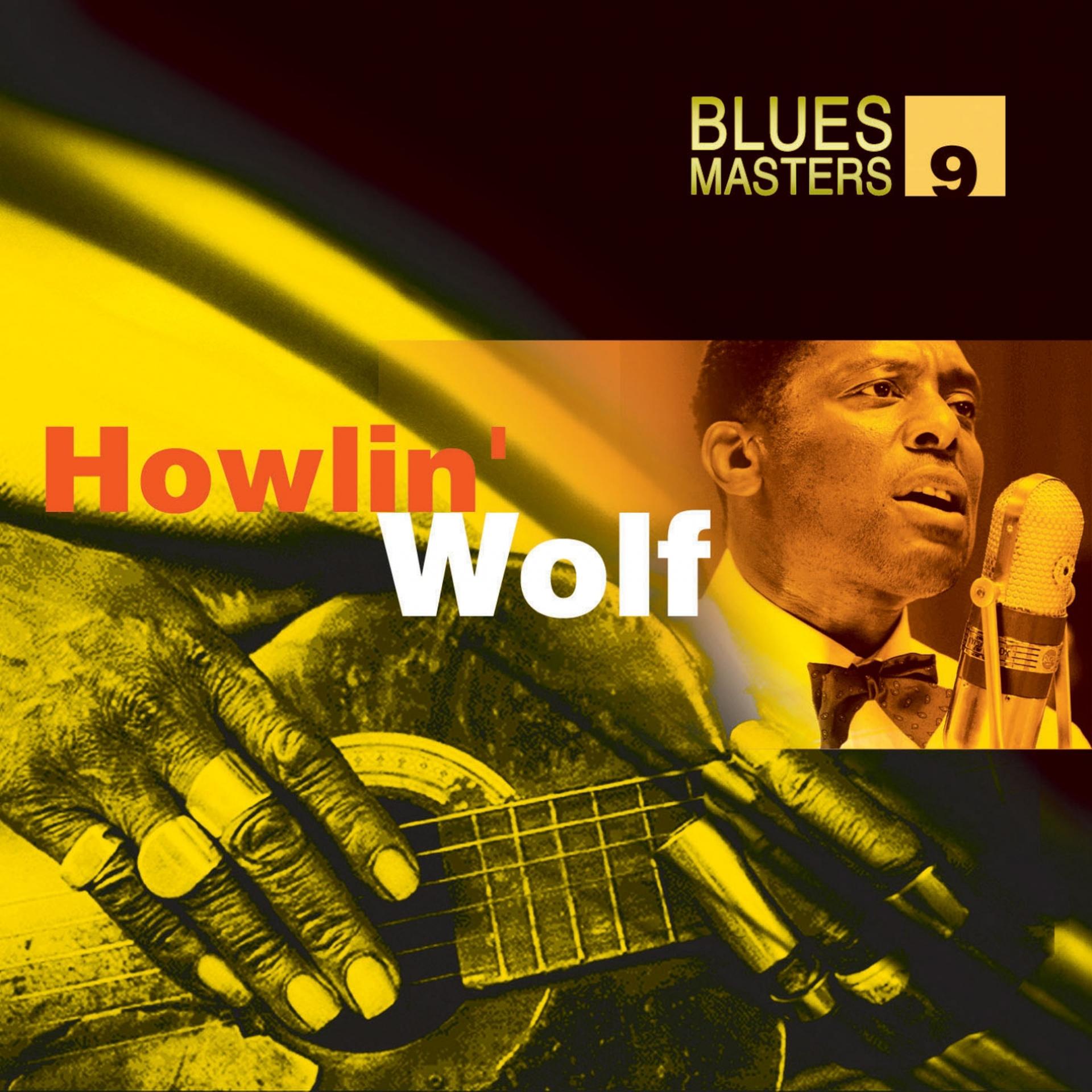 Постер альбома Blues Masters Vol. 9