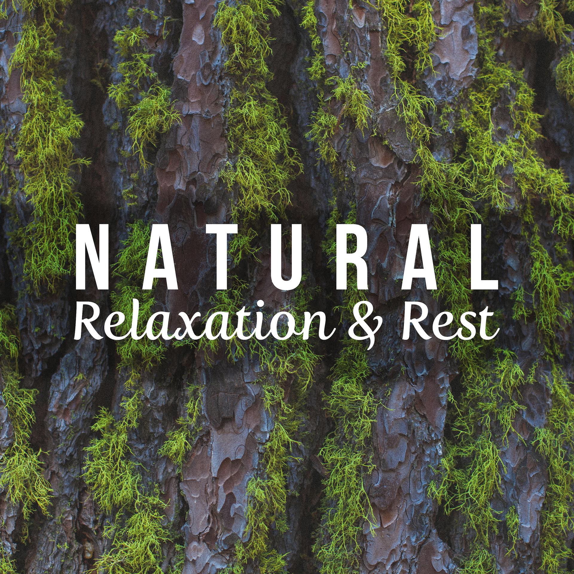Постер альбома Natural Relaxation & Rest