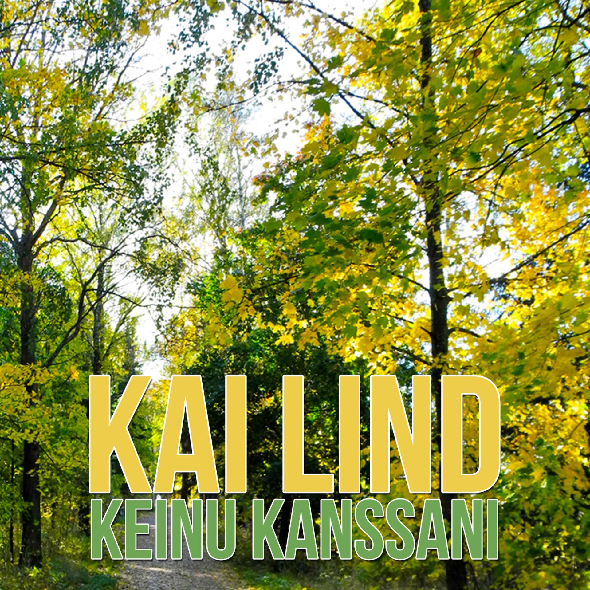 Постер альбома Keinu Kanssani
