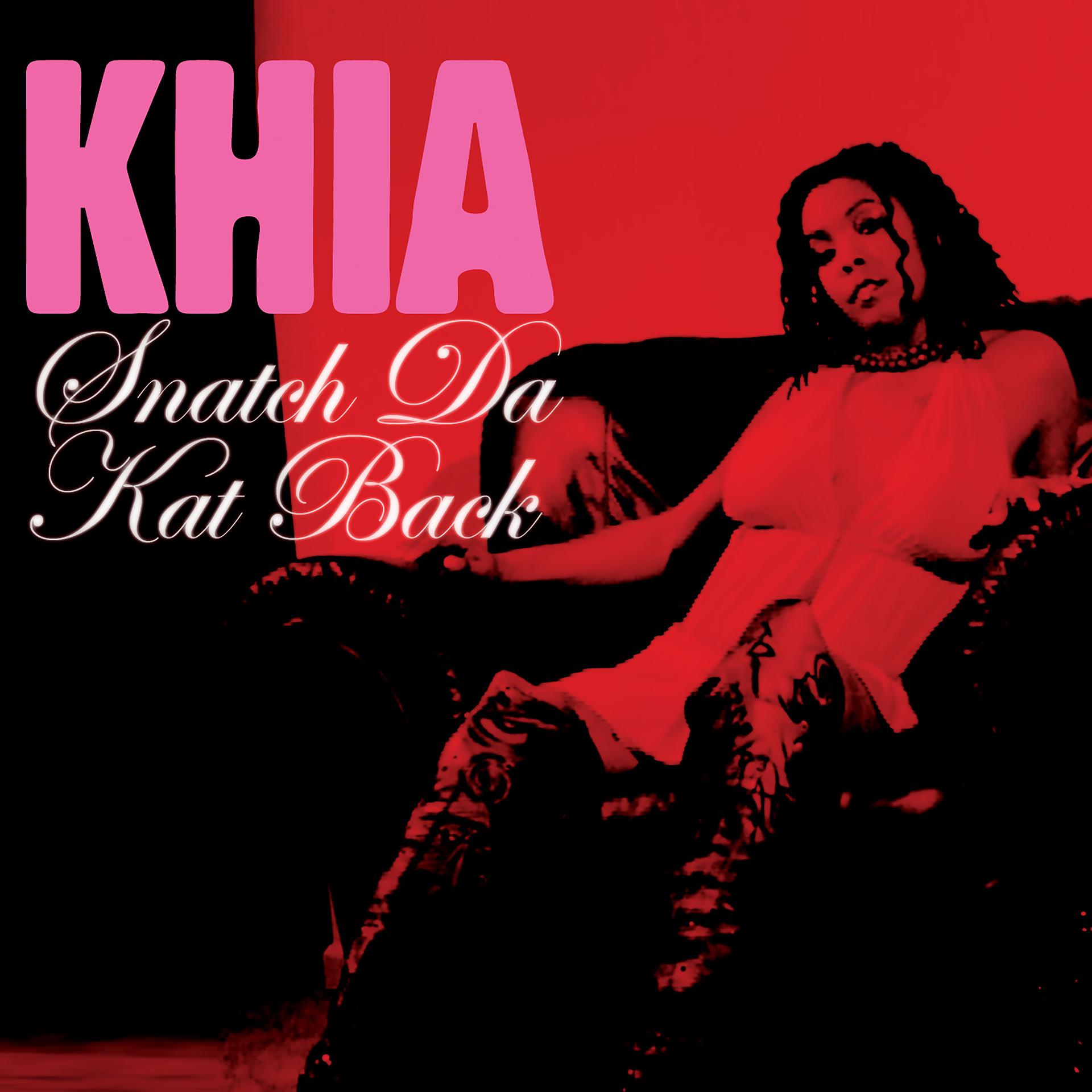 Постер альбома Snatch Da Kat Back