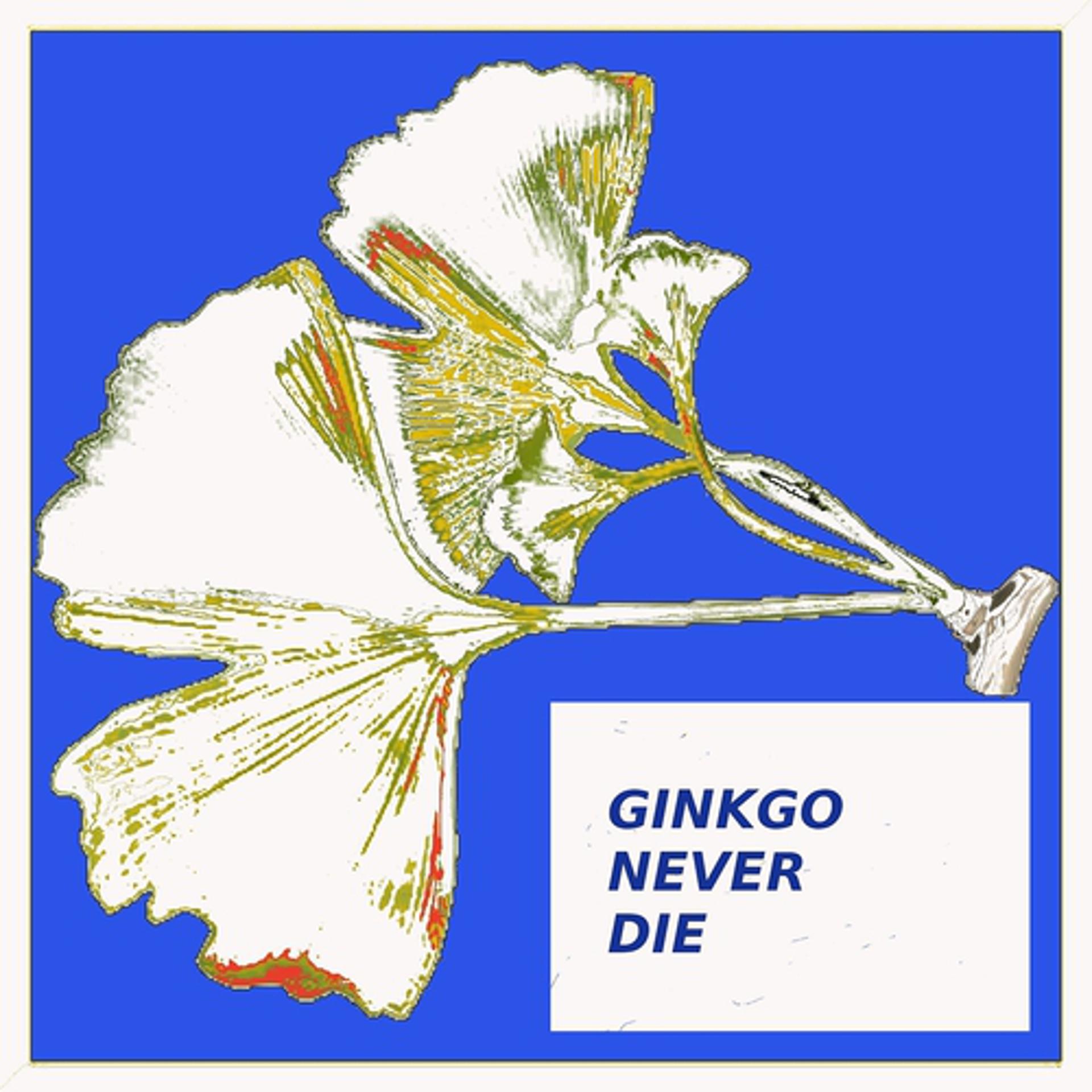 Постер альбома Gingko Never Die