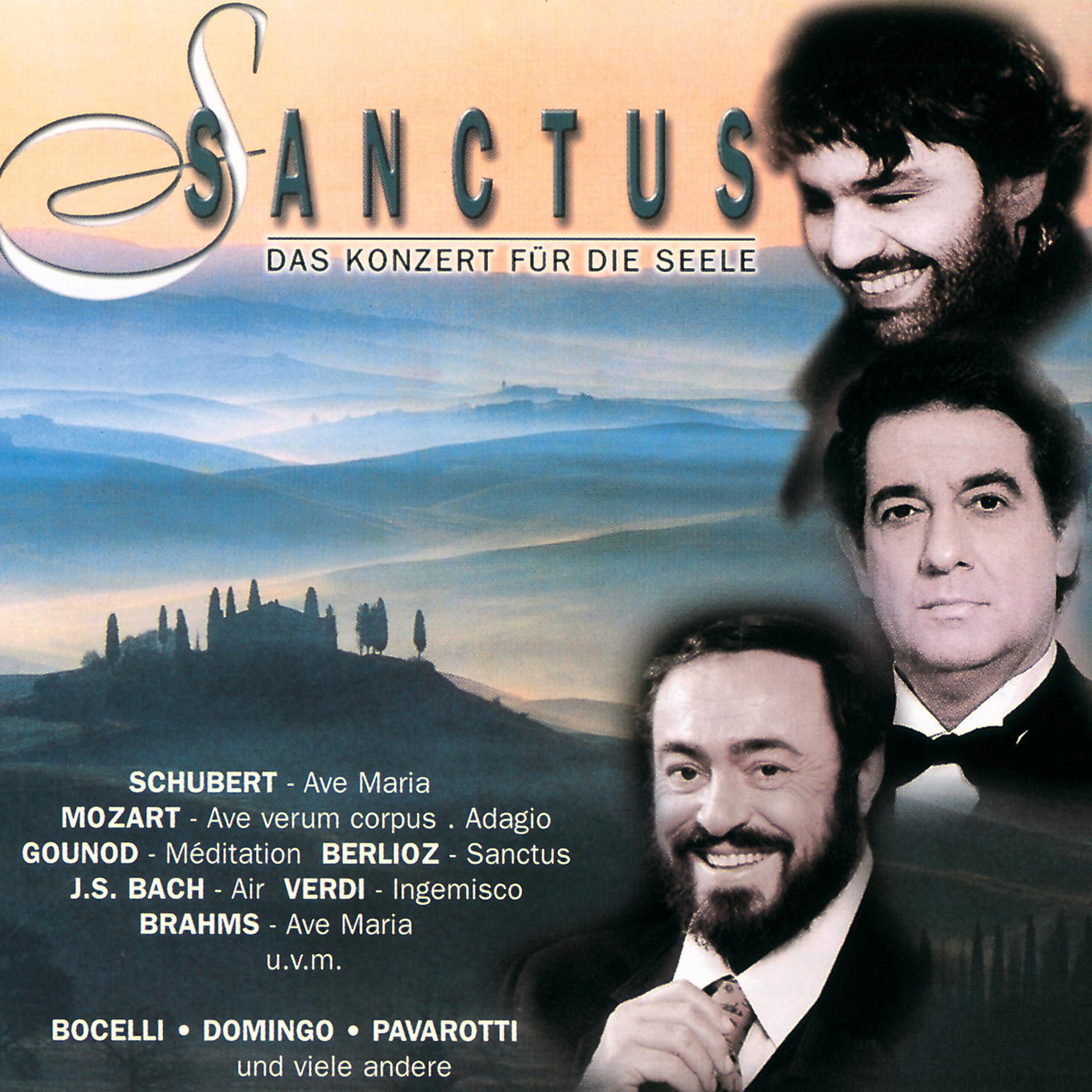 Постер альбома Sanctus - Das Konzert für die Seele