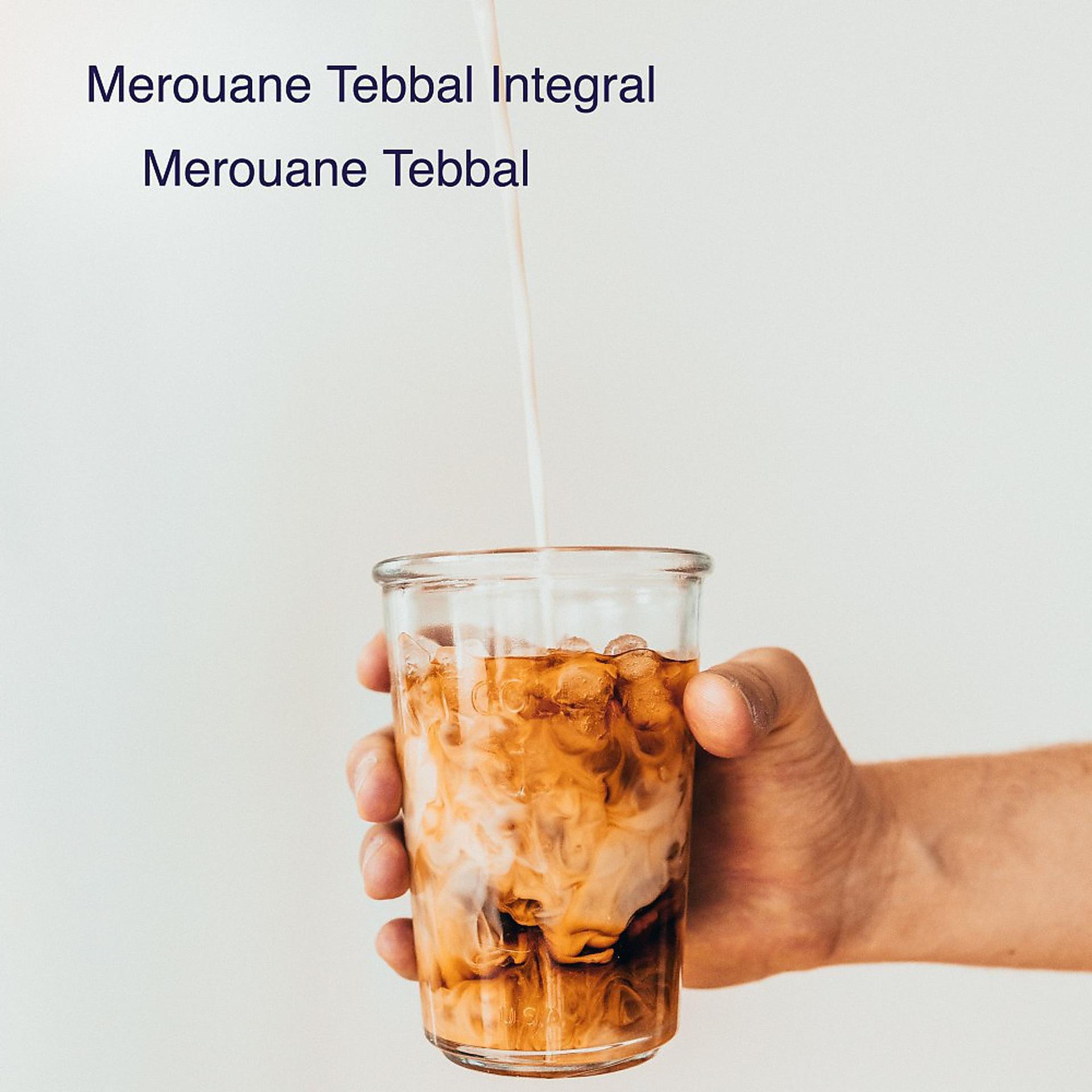 Постер альбома Merouane Tebbal Integral