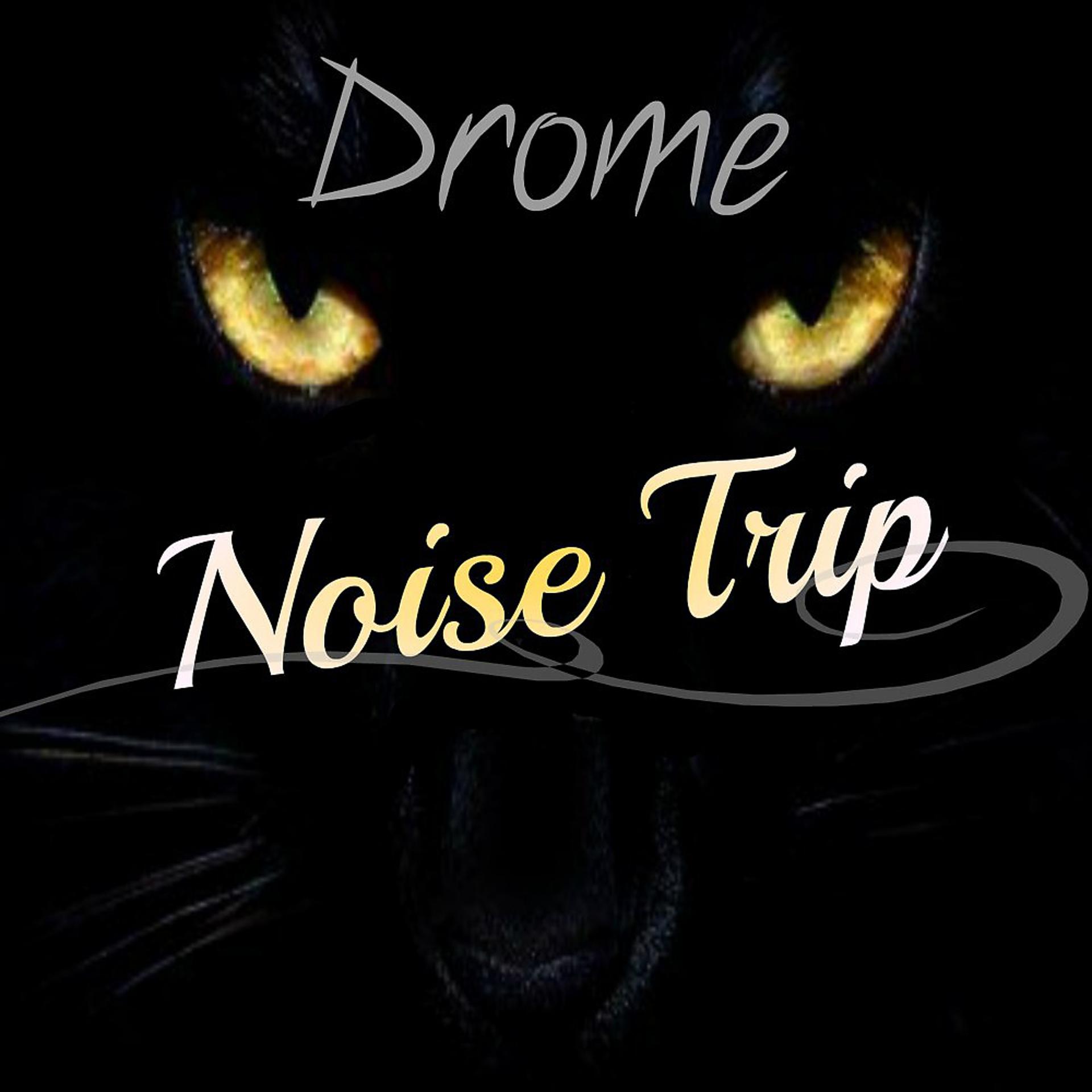 Постер альбома Noise Trip