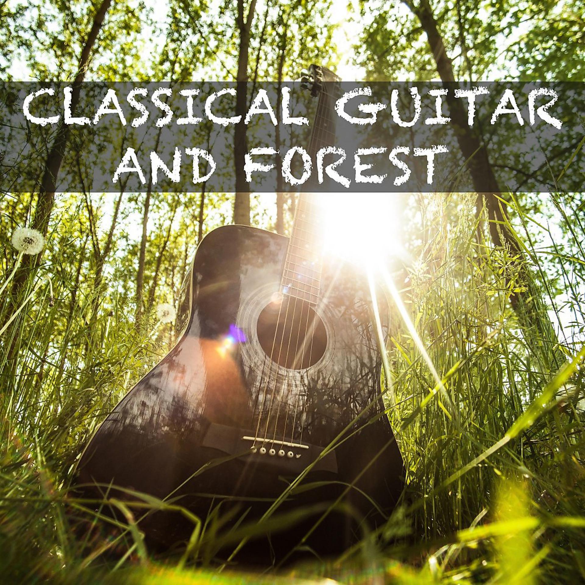 Постер альбома Классическая Гитара и Звуки природы