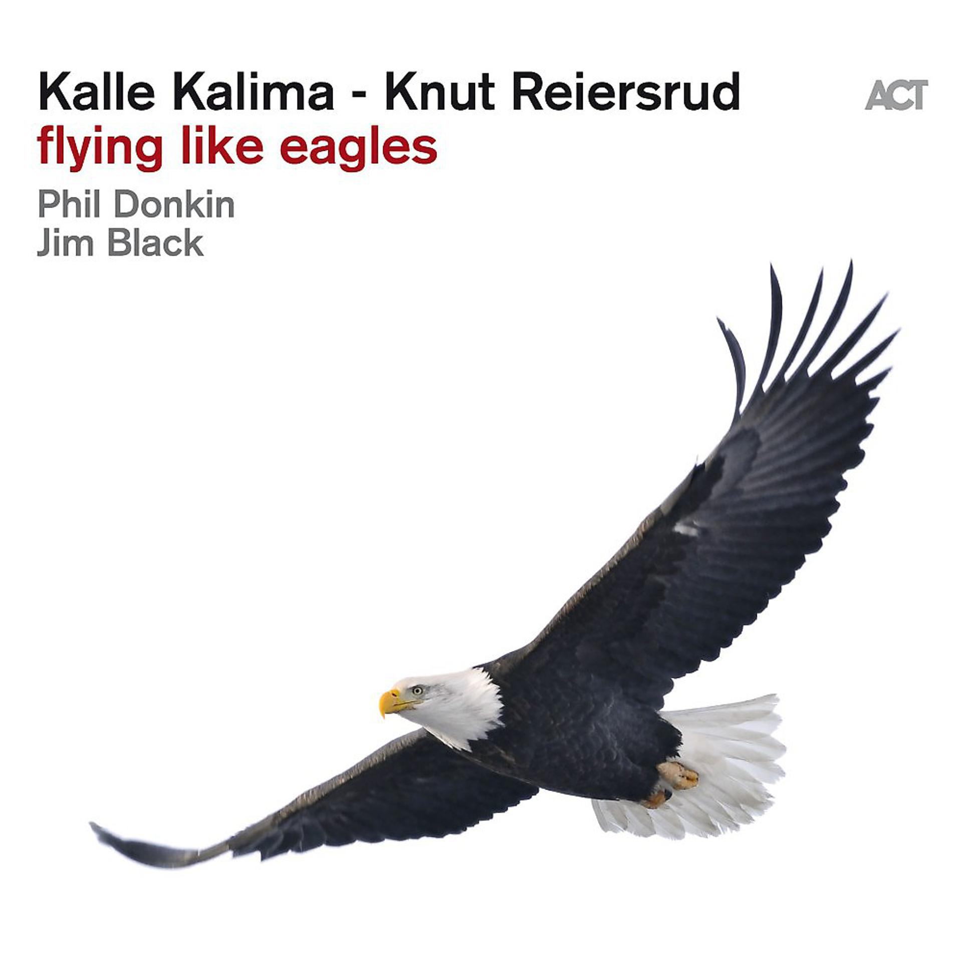 Постер альбома Flying Like Eagles