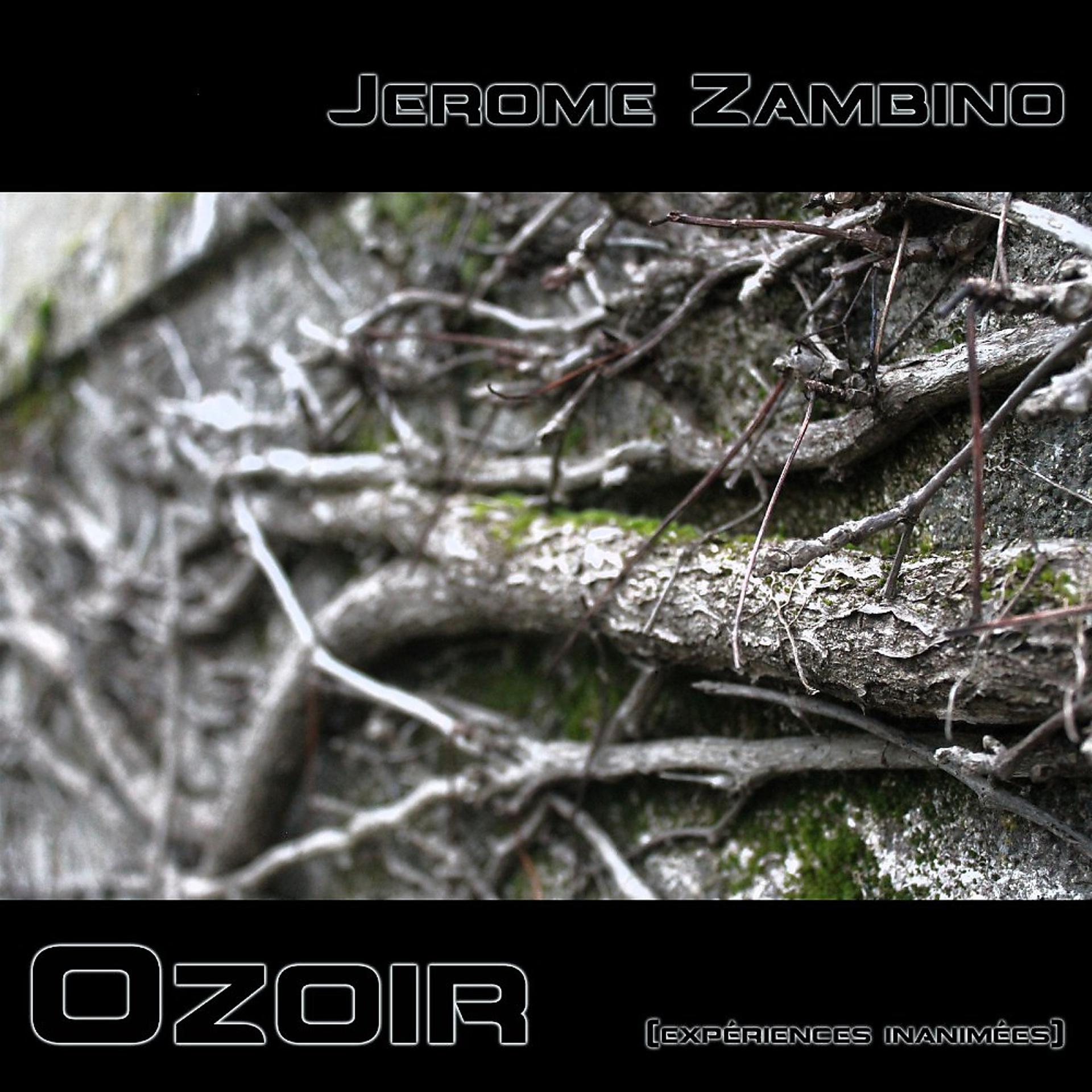 Постер альбома Ozoir (Expériences inanimées)