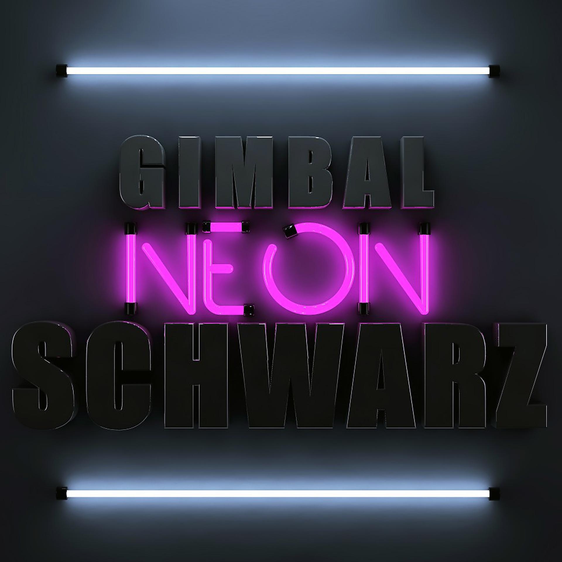 Постер альбома Neonschwarz