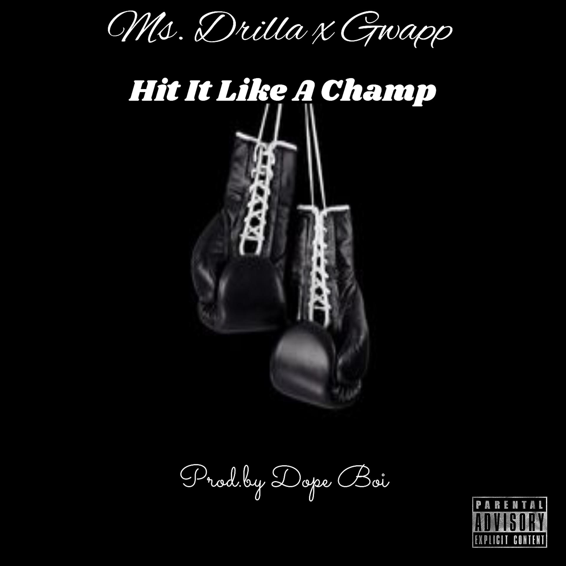 Постер альбома Hit It Like A Champ (feat. Gwapp)