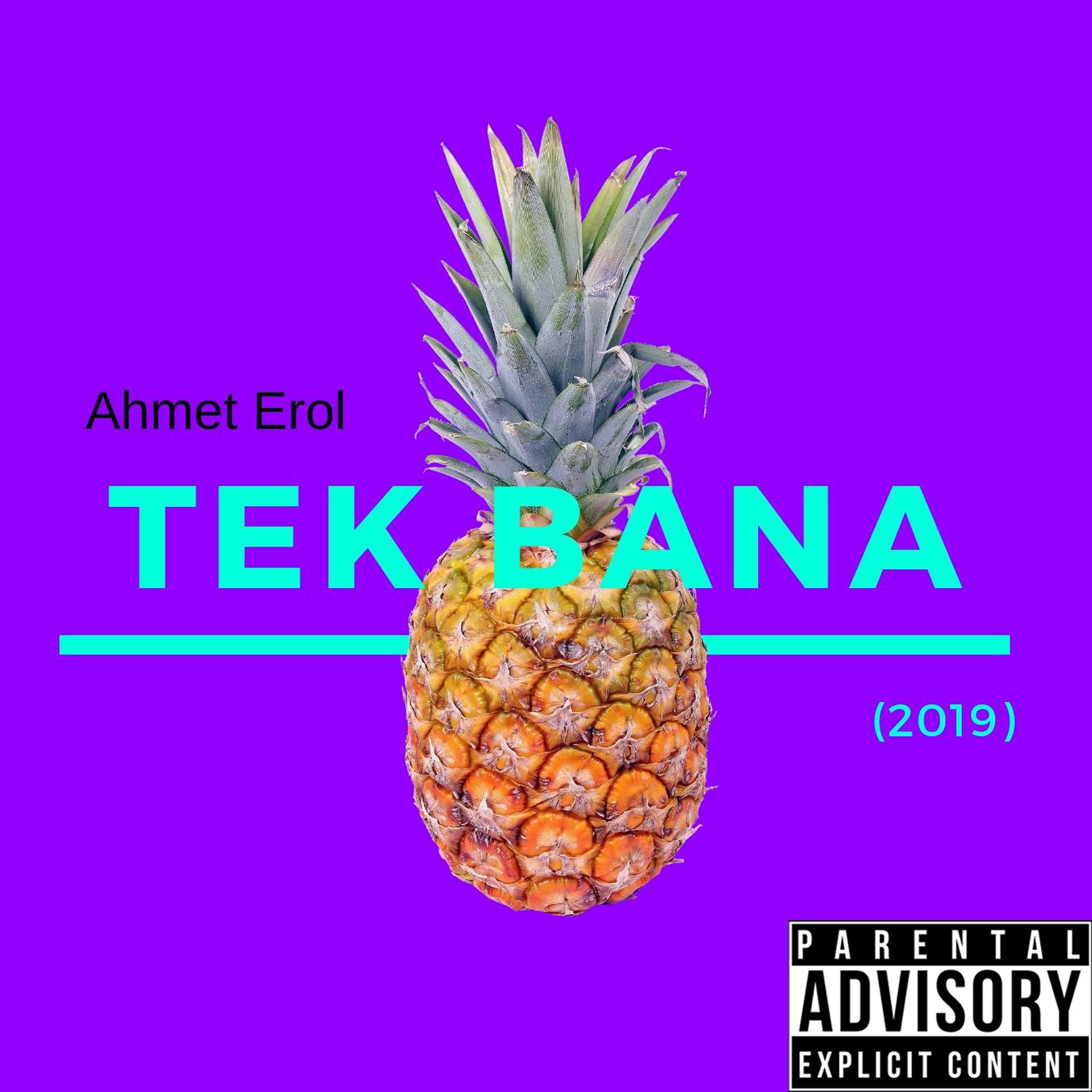 Постер альбома Tek Bana