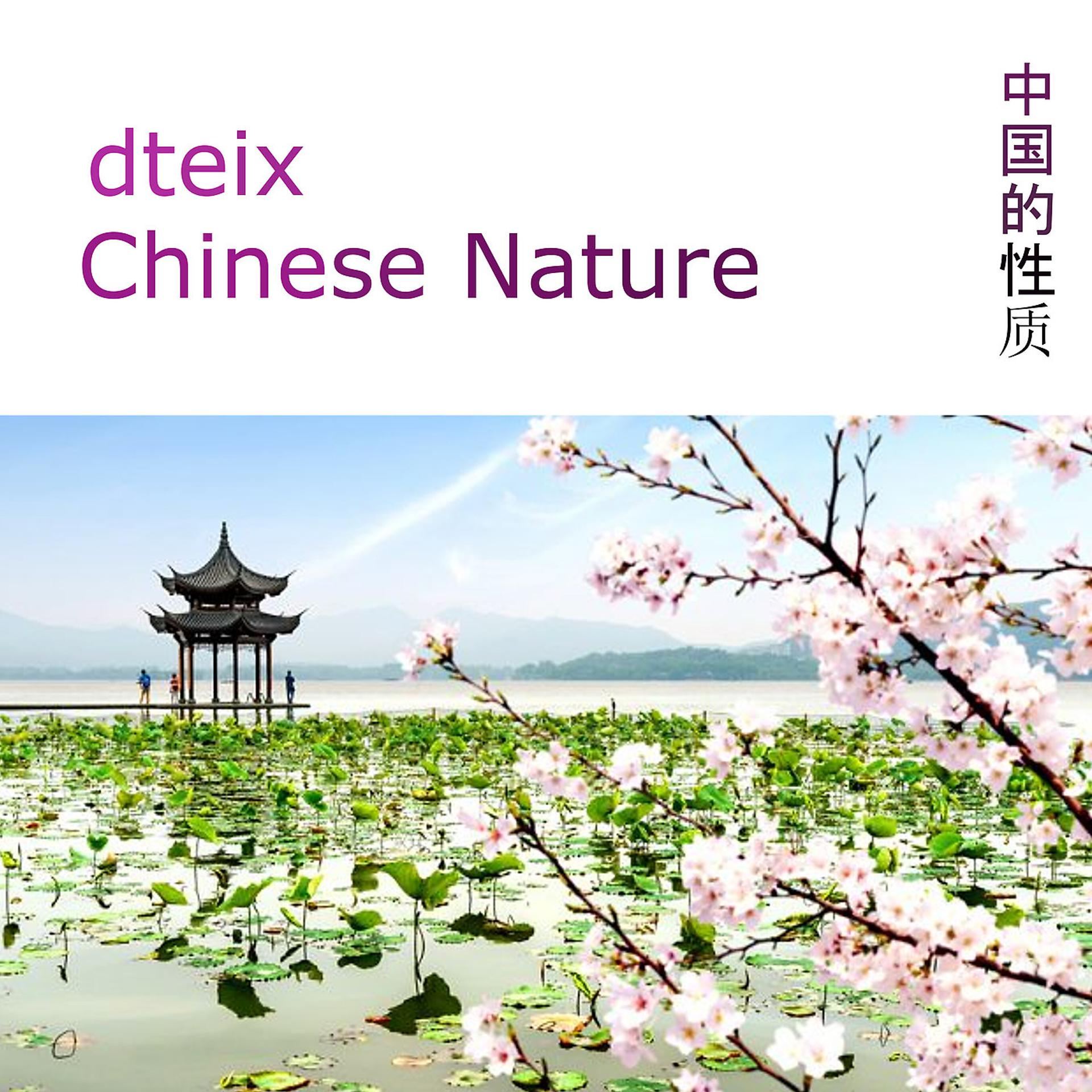 Постер альбома Chinese Nature