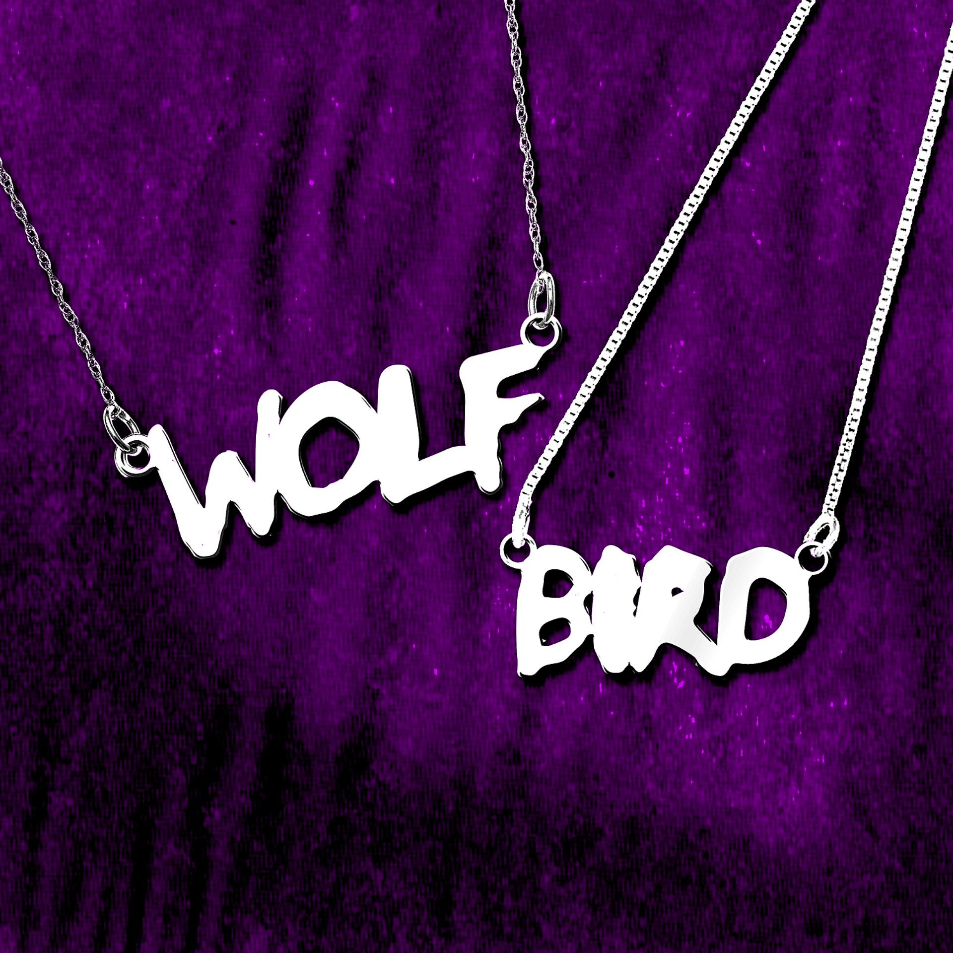 Постер альбома Wolf and Bird