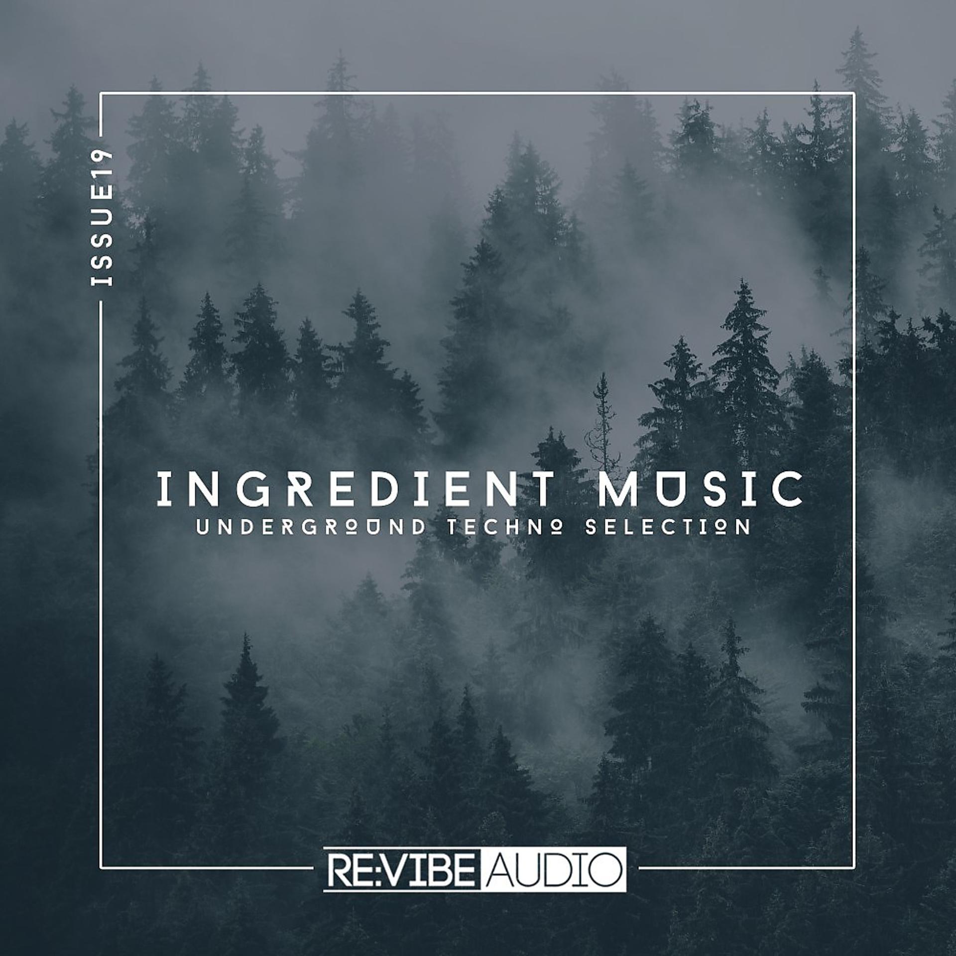 Постер альбома Ingredient Music, Vol. 19