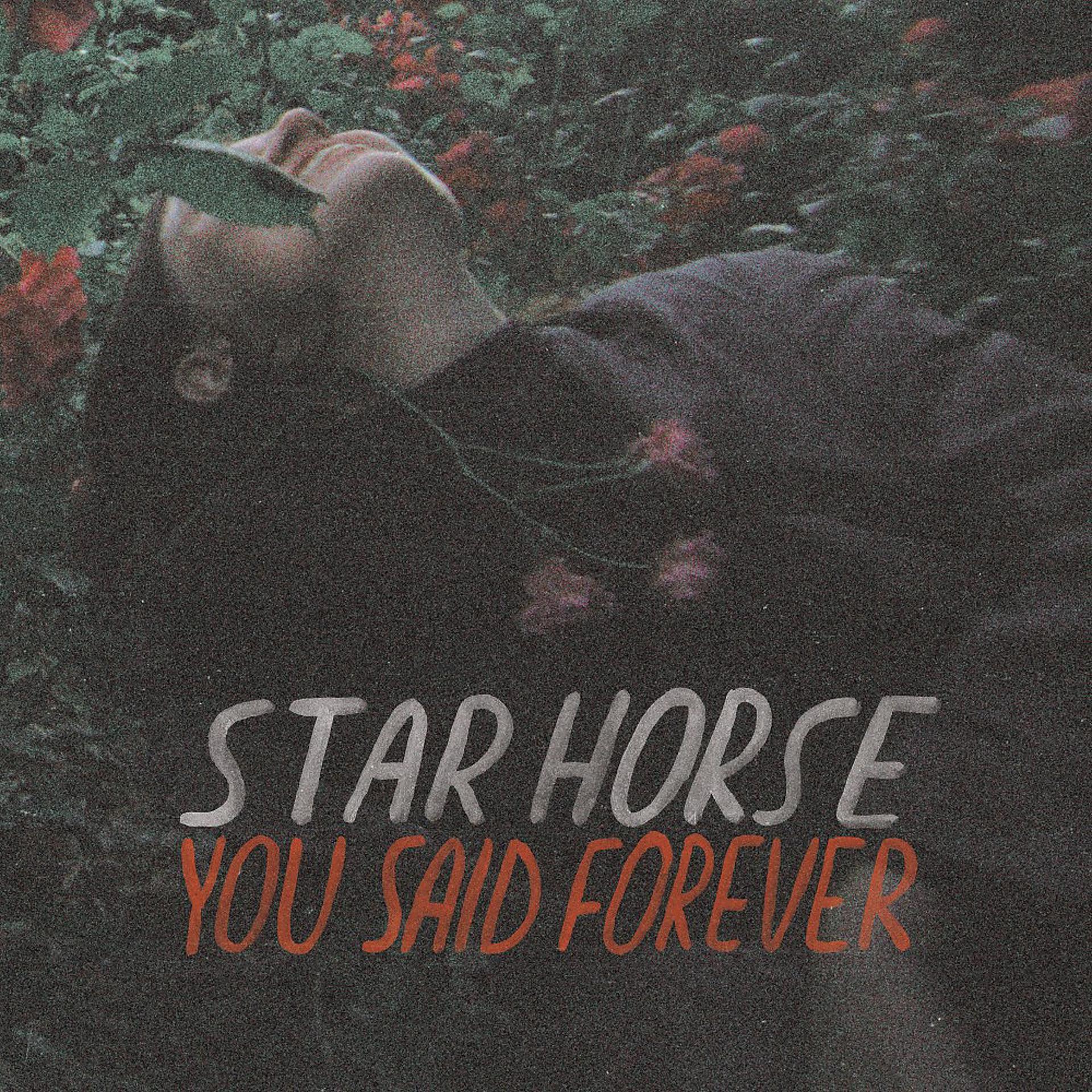 Постер альбома You Said Forever (Deluxe Version)