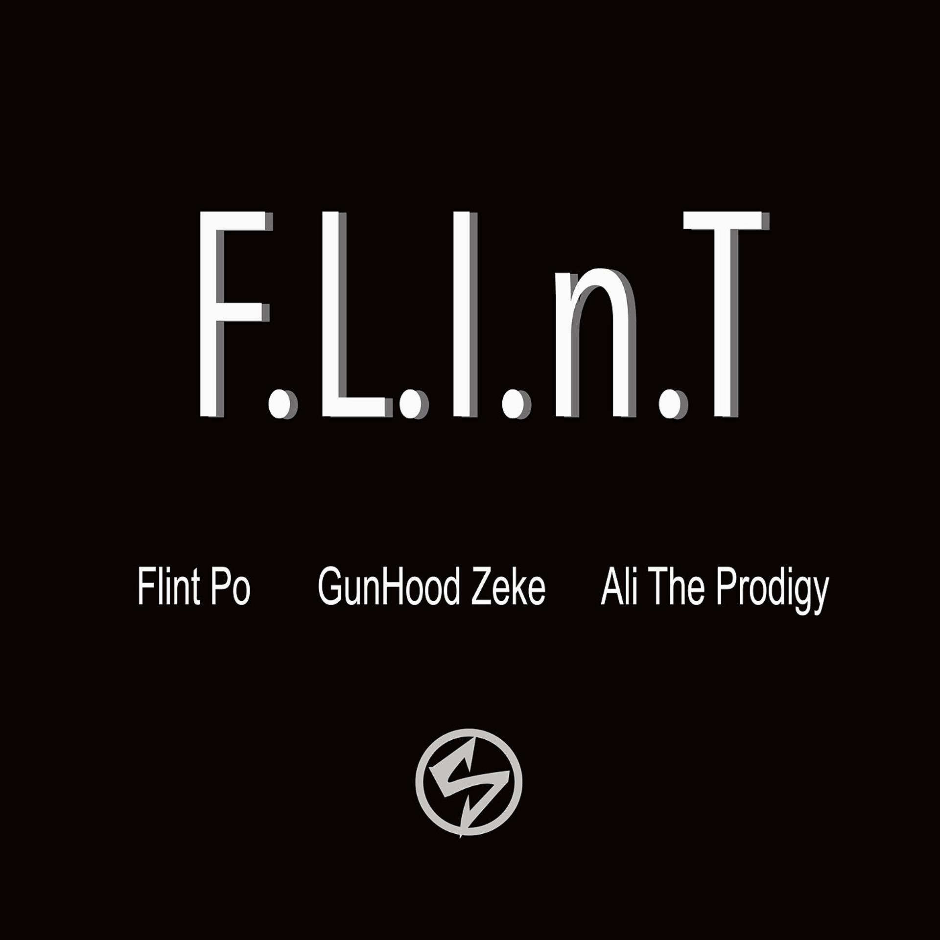 Постер альбома F.L.I.n.T.