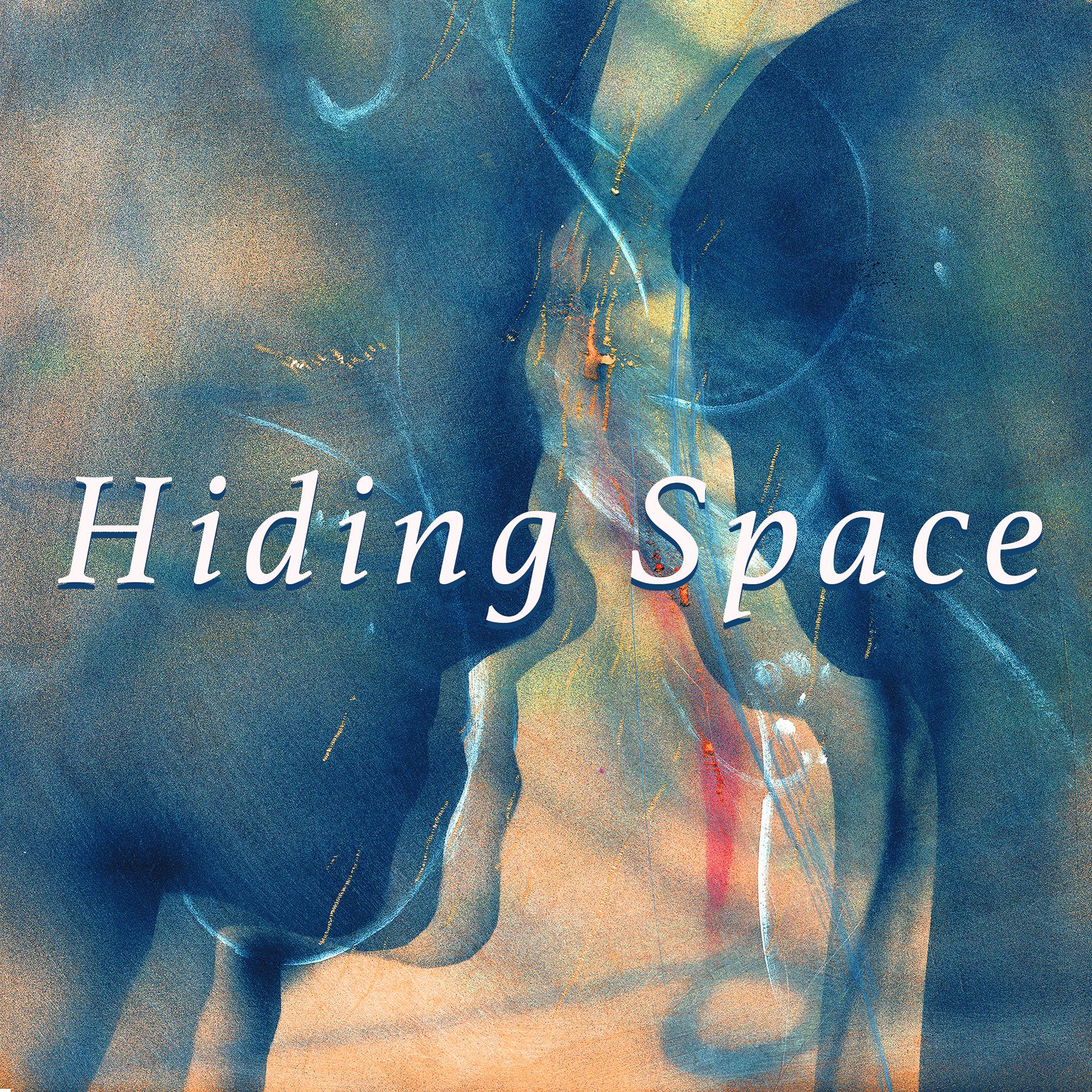 Постер альбома Hiding Space