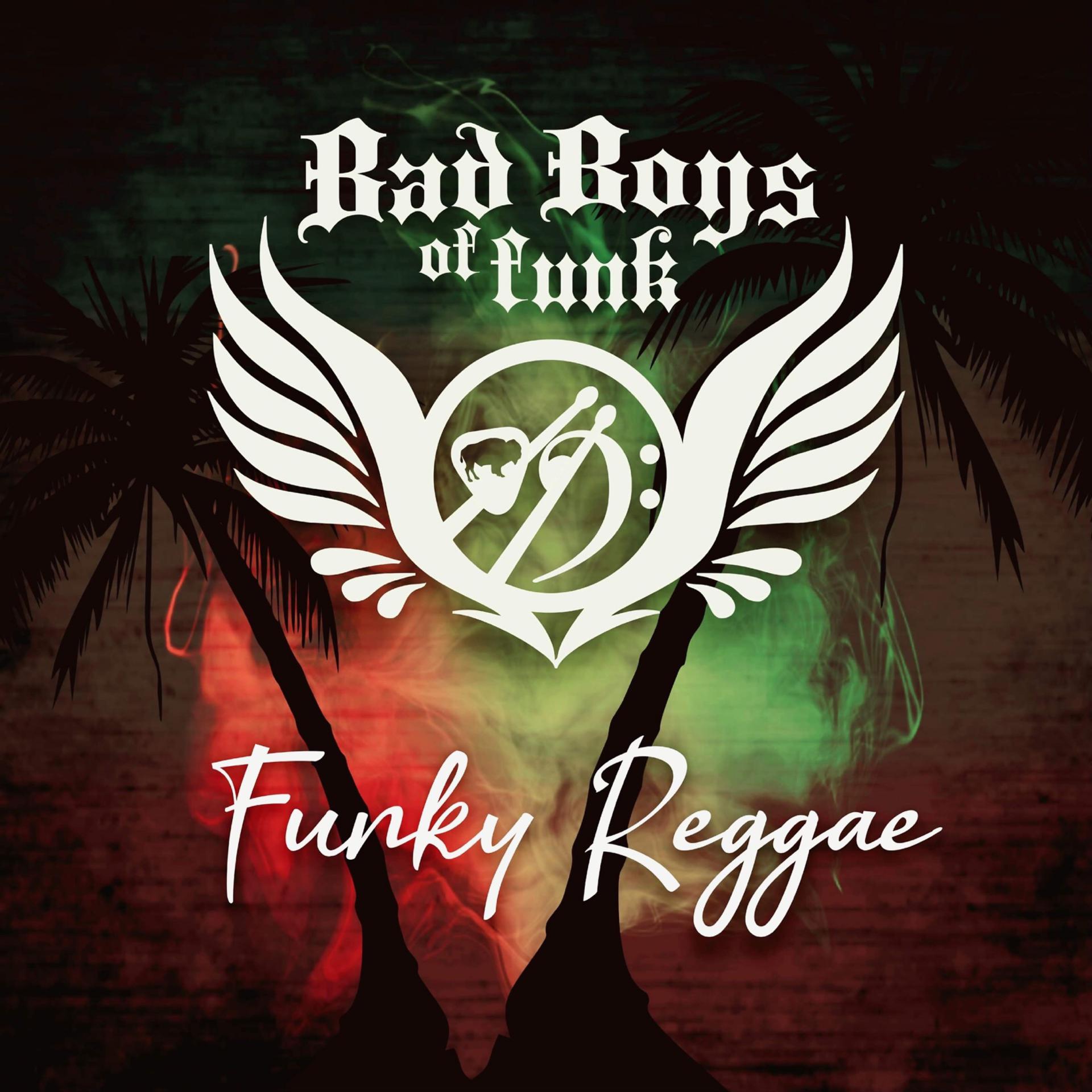 Постер альбома Funky Reggae