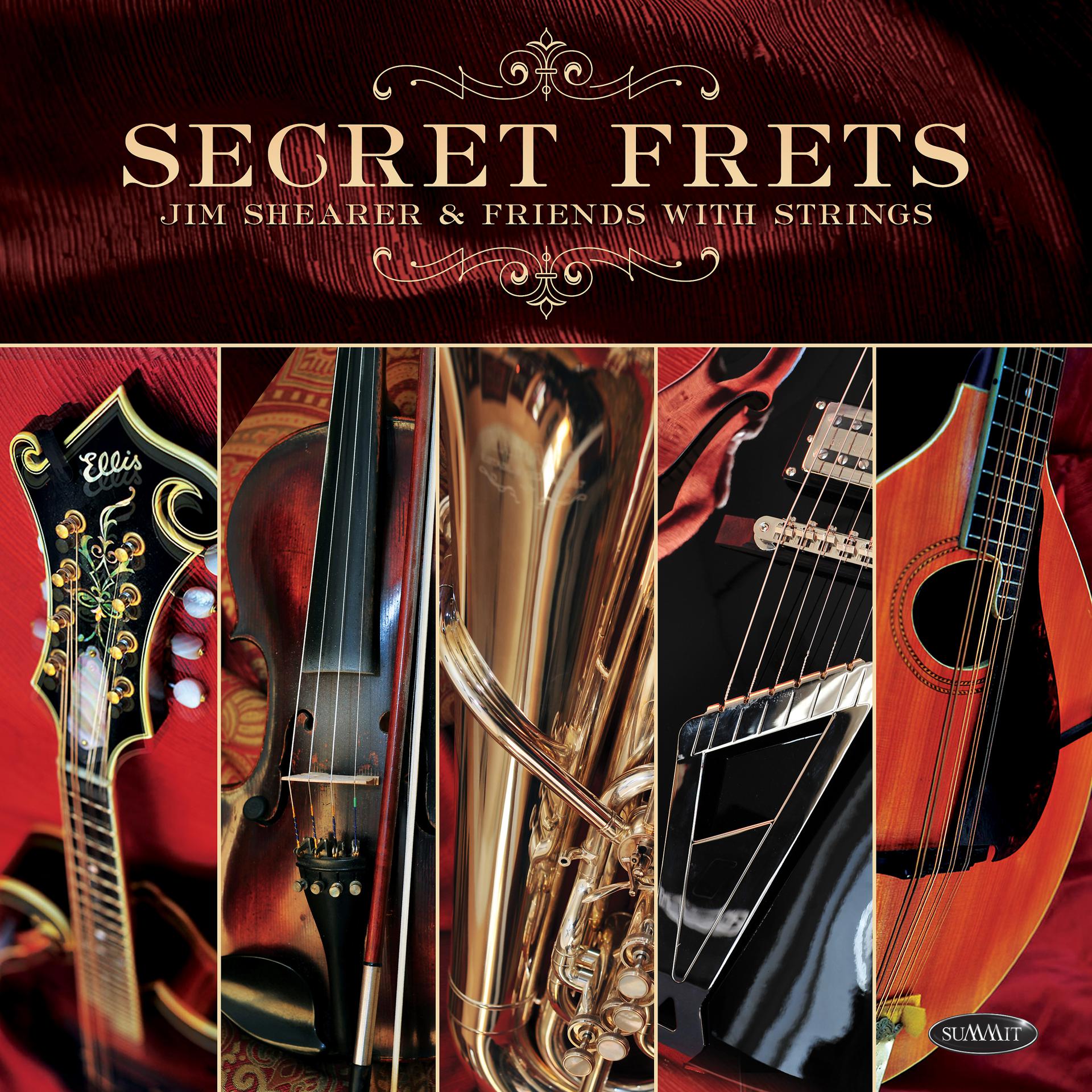 Постер альбома Secret Frets