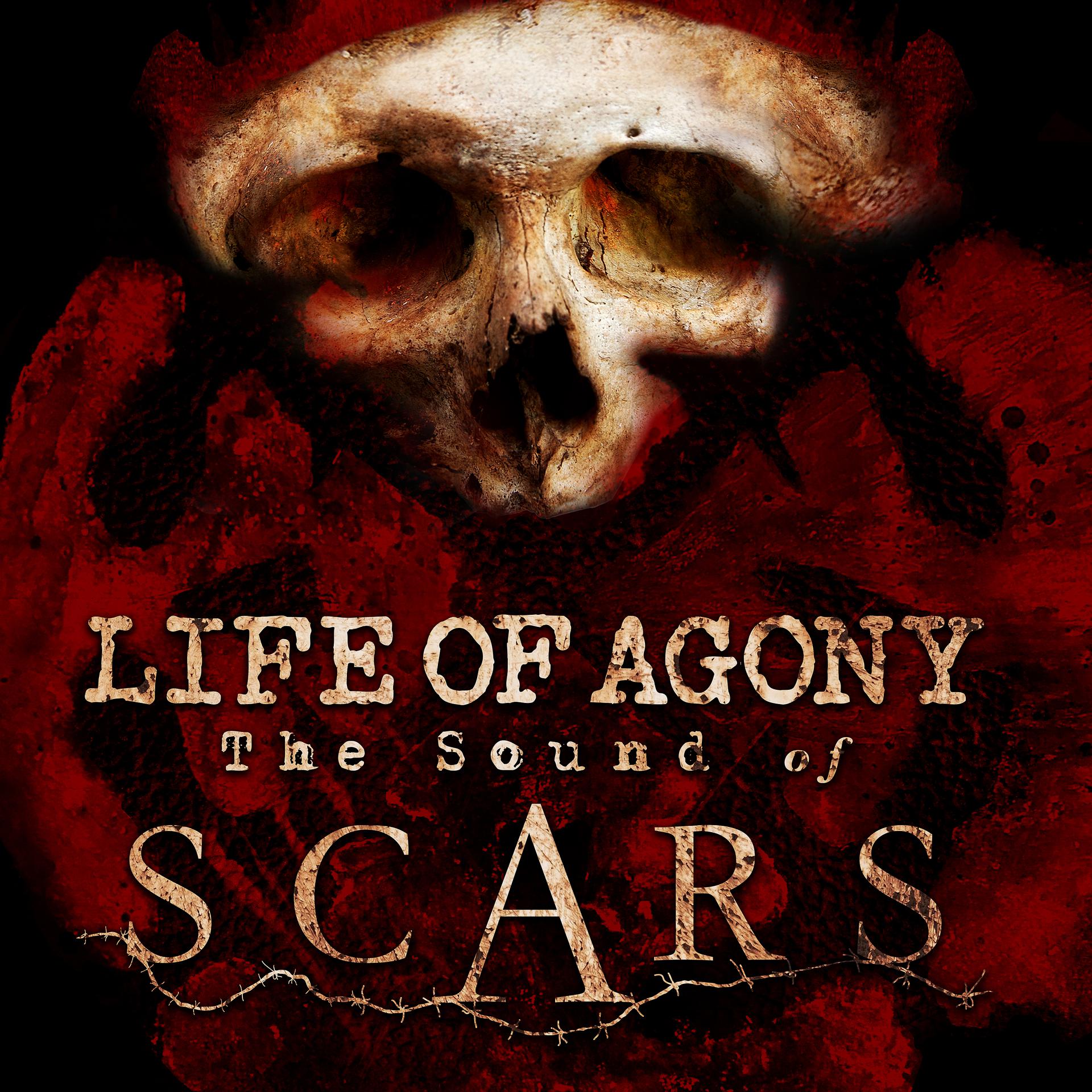 Постер альбома The Sound of Scars