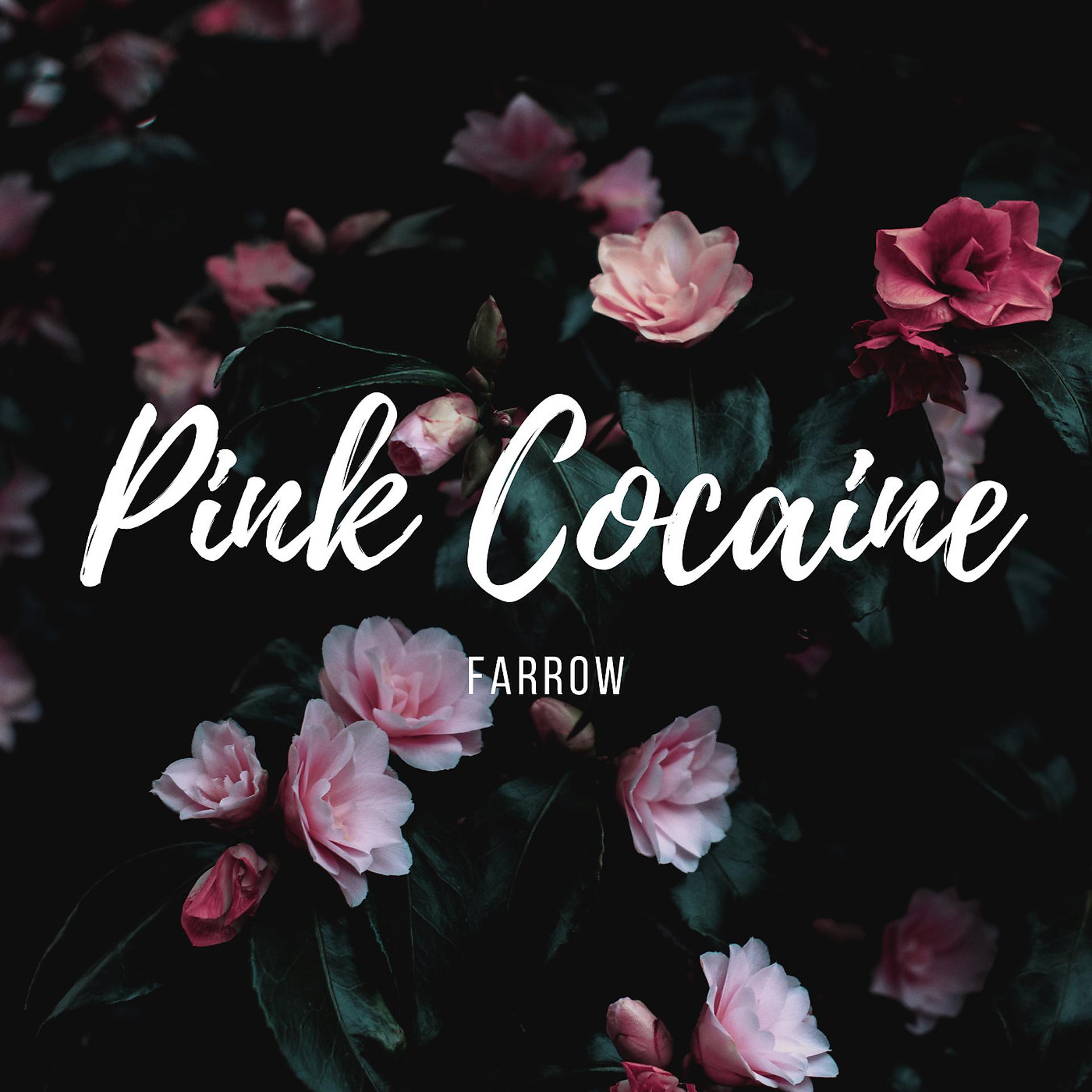 Постер альбома Pink Cocaine