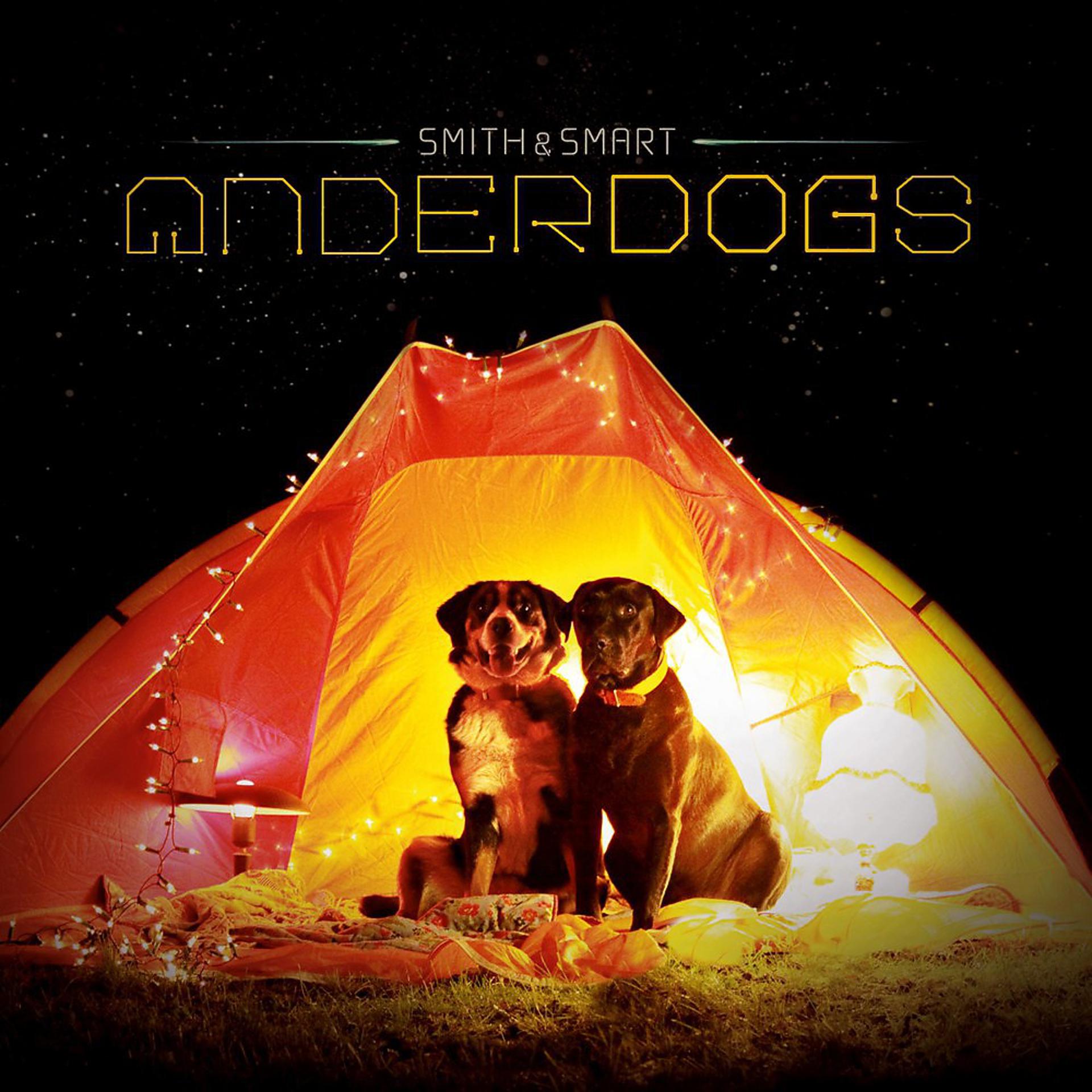 Постер альбома Anderdogs