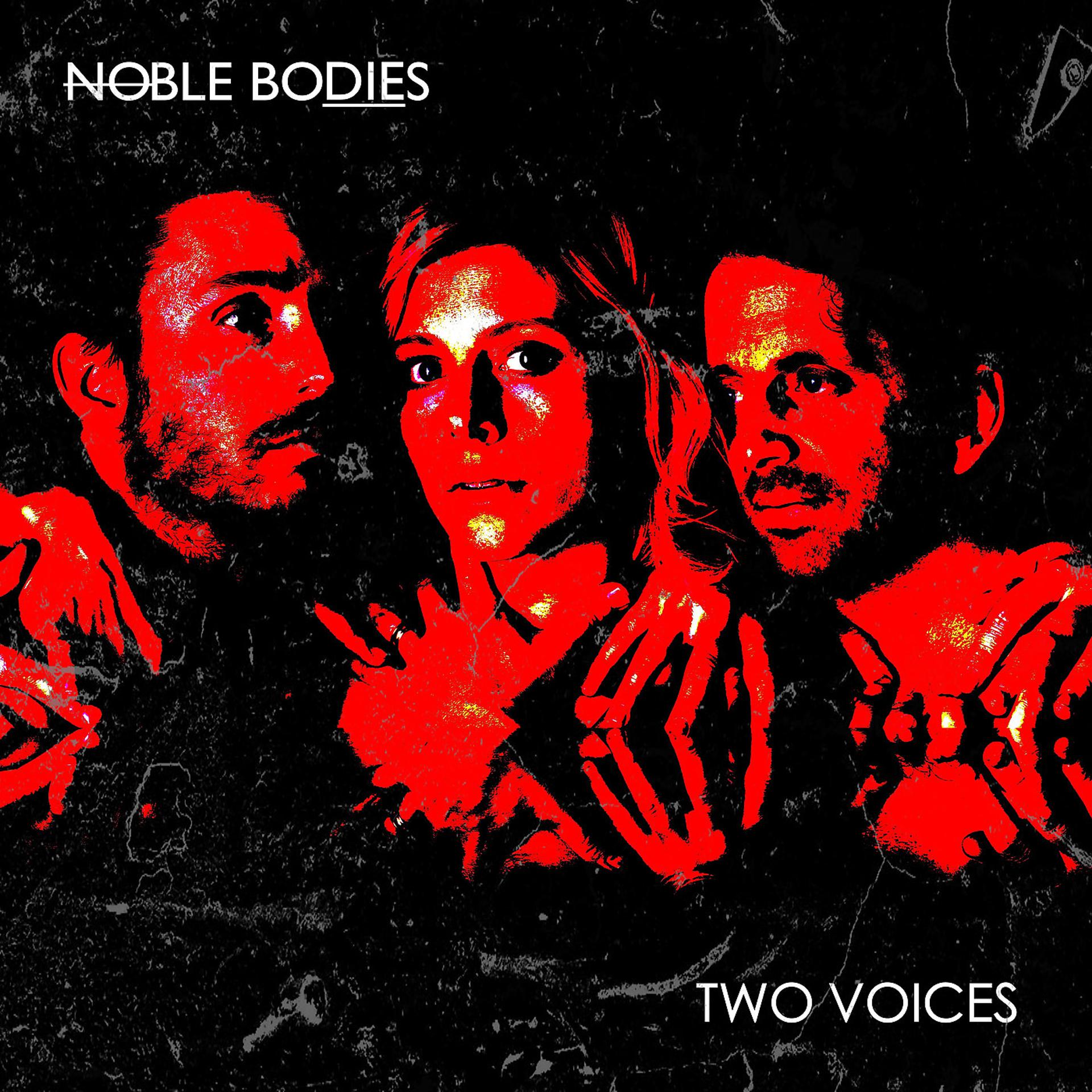 Постер альбома Two Voices