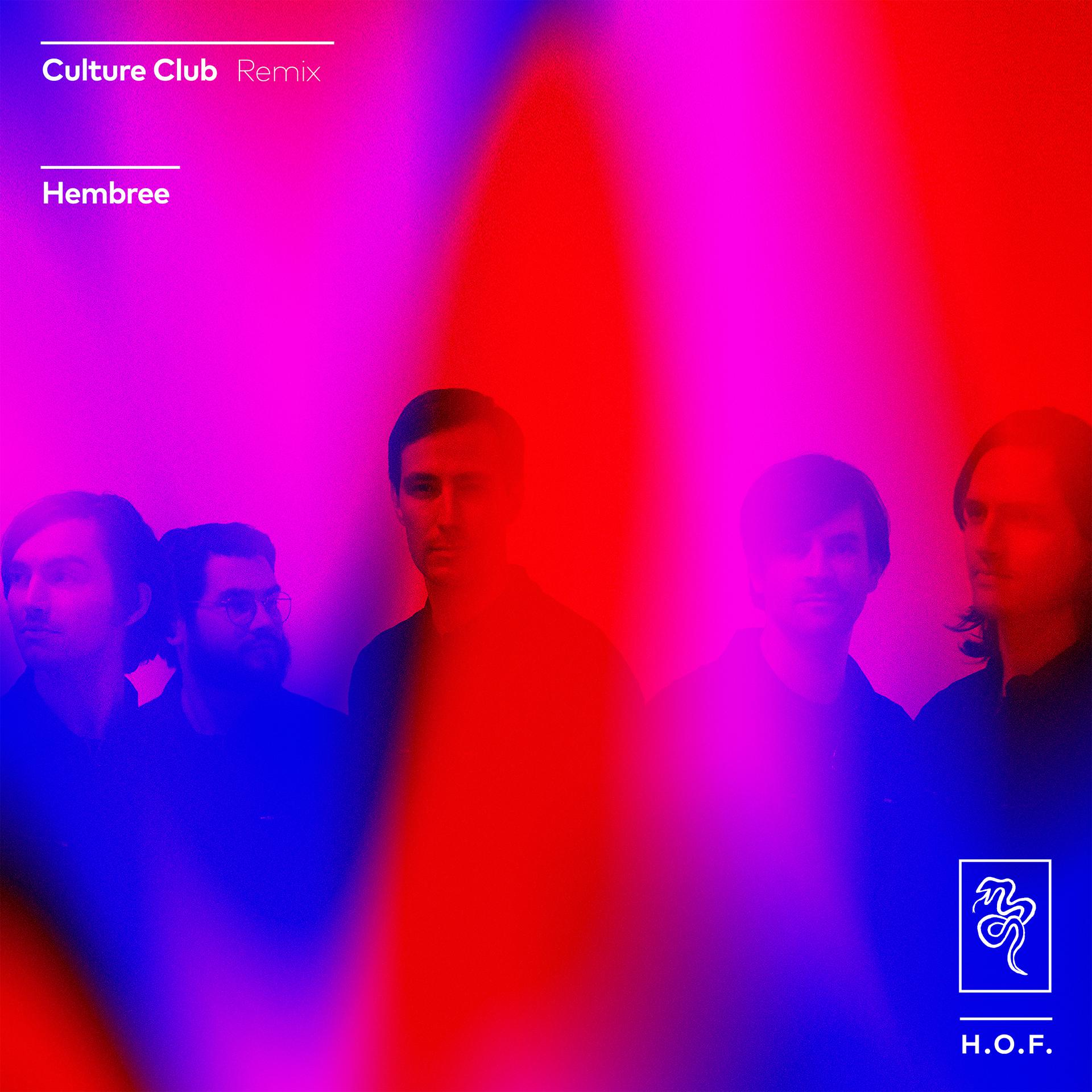 Постер альбома Culture Club (Remix)