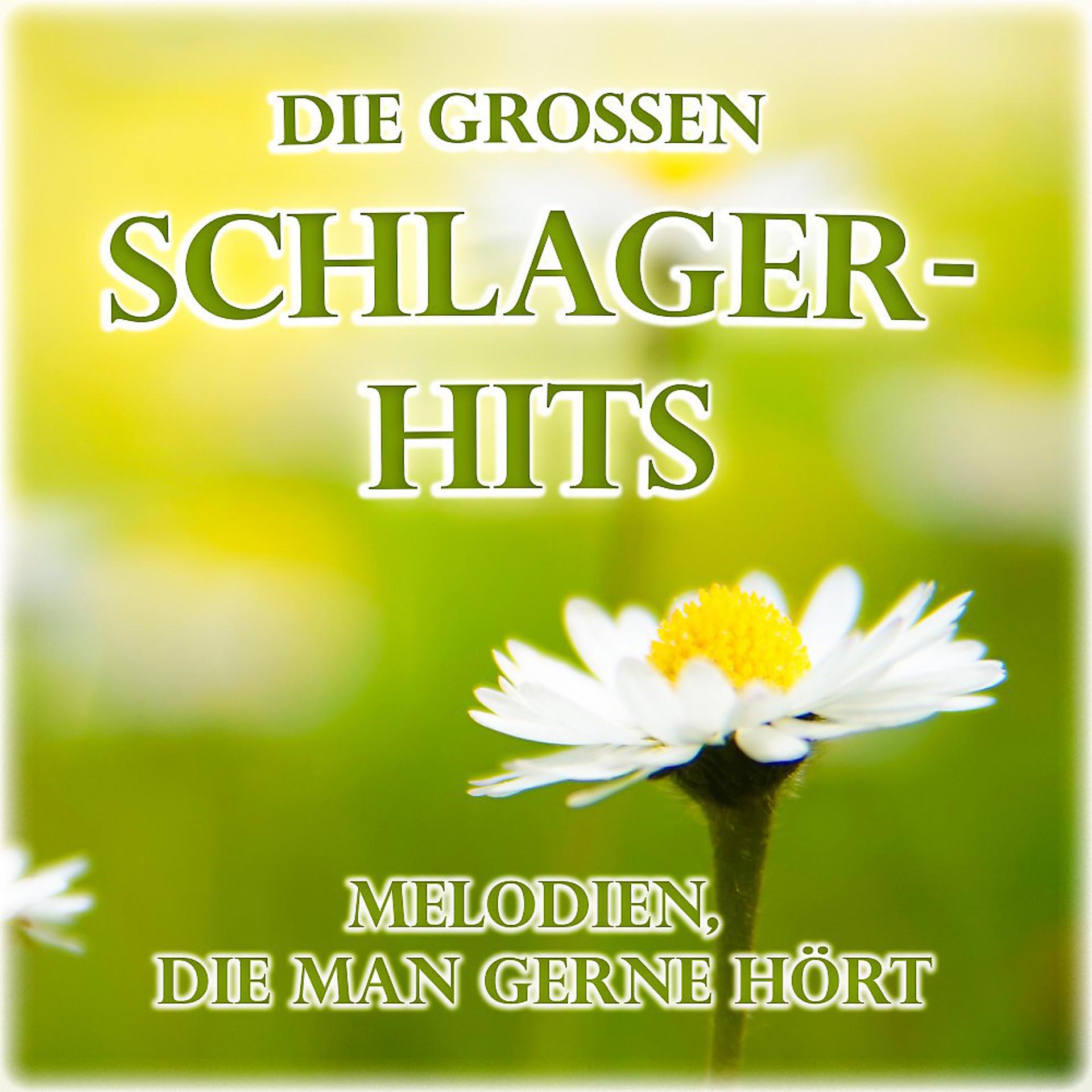 Постер альбома Die grossen Schlager-Hits (Melodien, die man gerne hört)