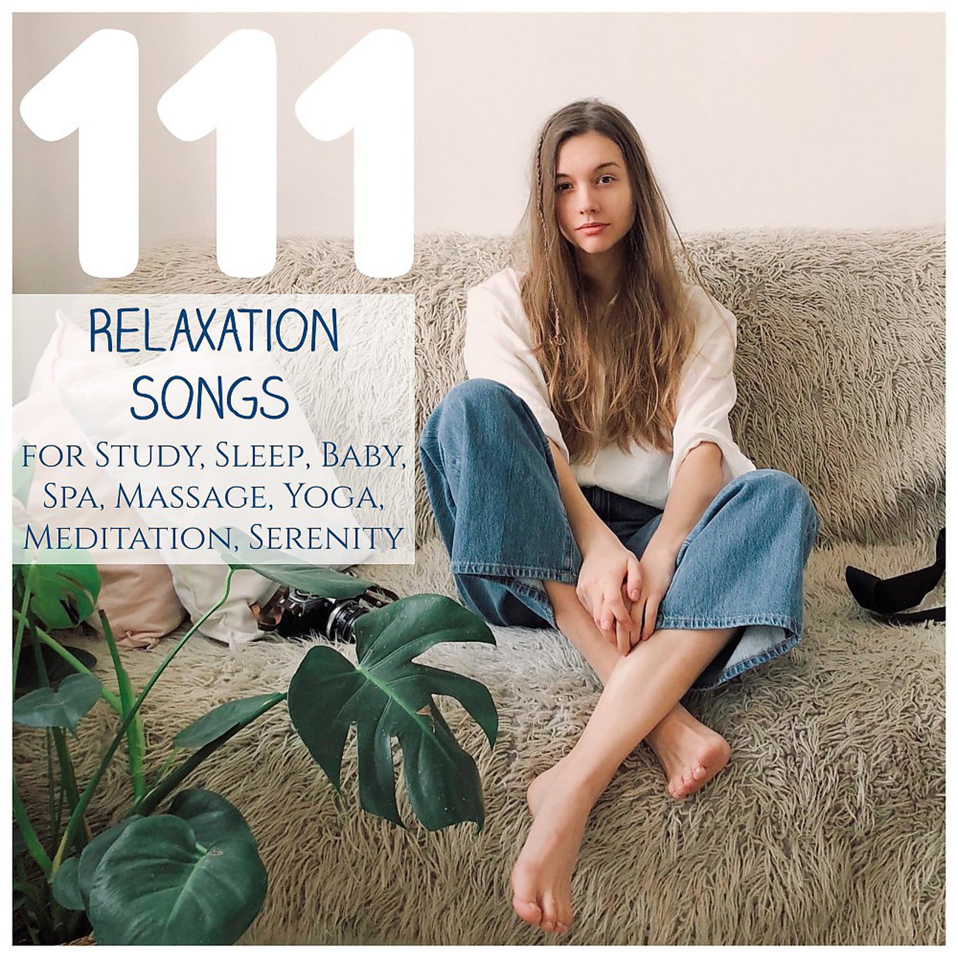 Постер альбома 111 Relaxation Songs for Study, Sleep, Baby, Spa, Massage, Yoga, Meditation, Serenity