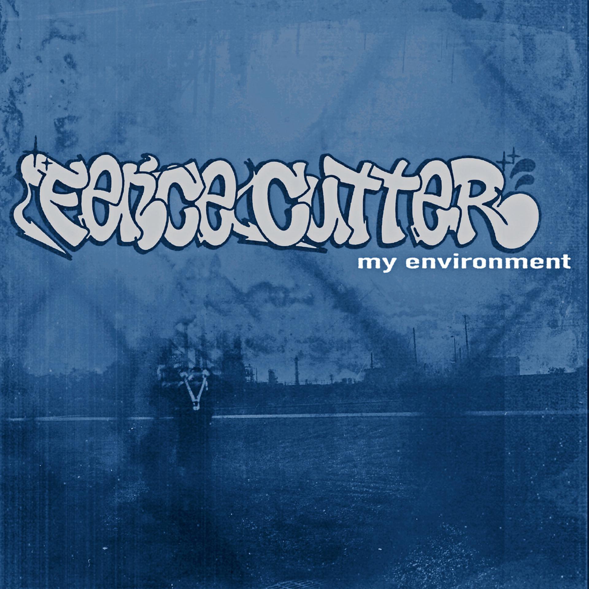 Постер альбома My Environment