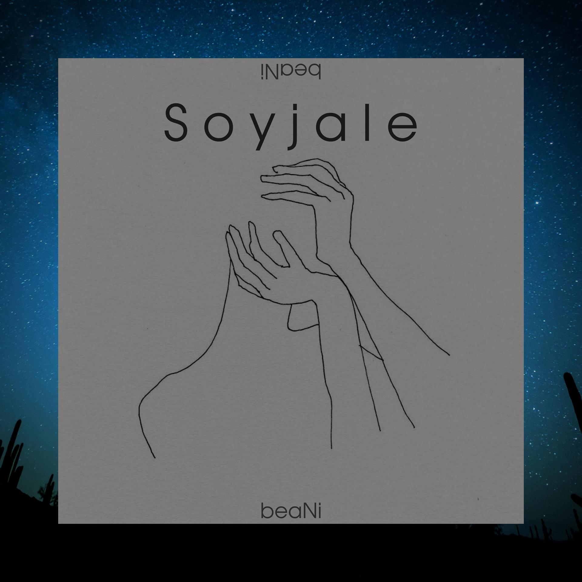 Постер альбома Soyjale