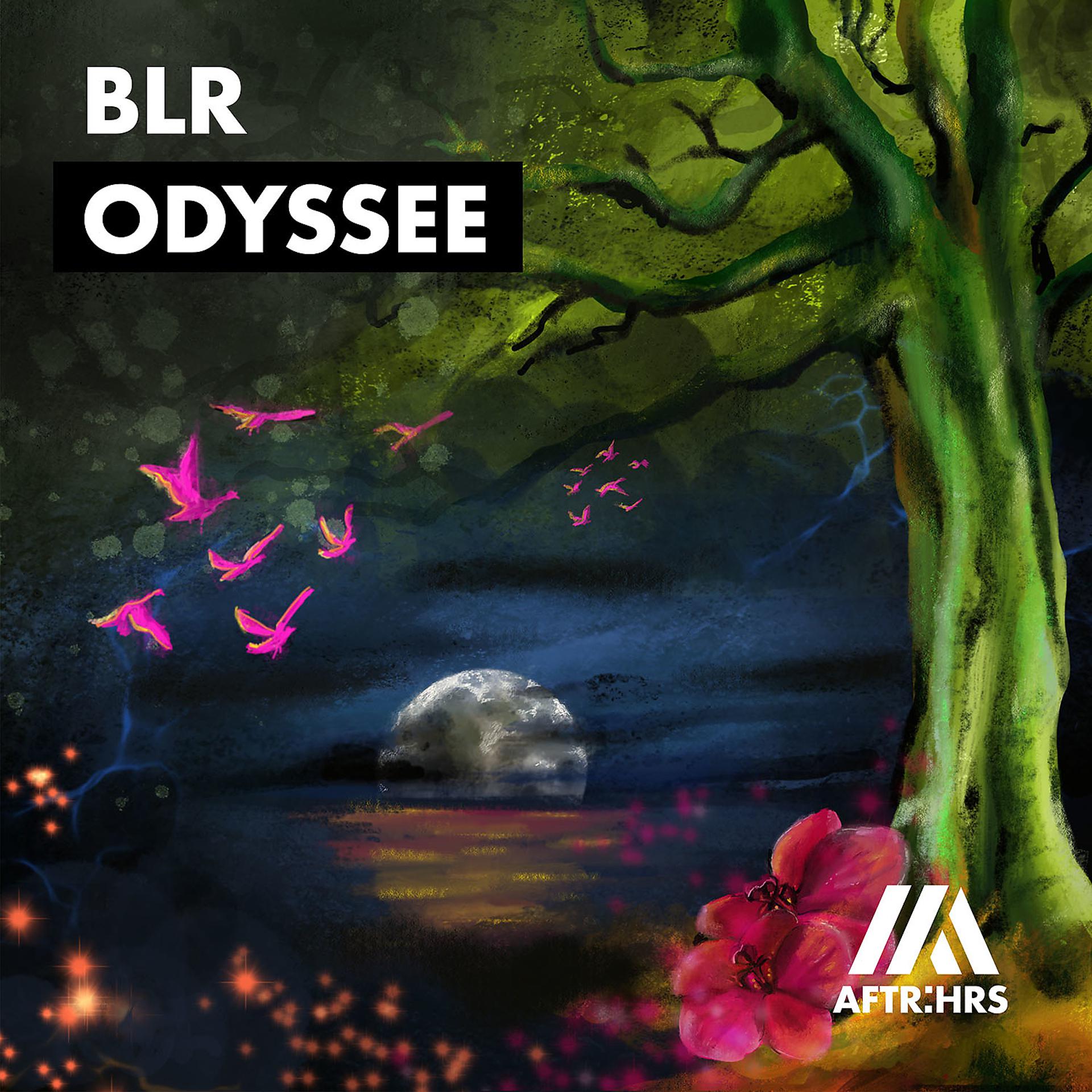 Постер альбома Odyssee